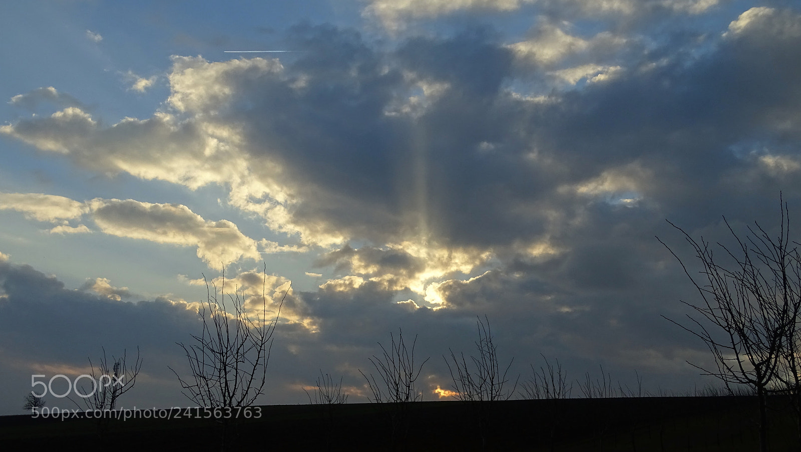 Sony Cyber-shot DSC-HX400V sample photo. ....the light.... photography