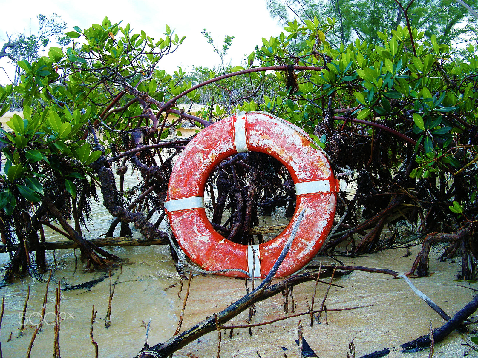 Nikon COOLPIX S700 sample photo. Ashore life preserver ring photography