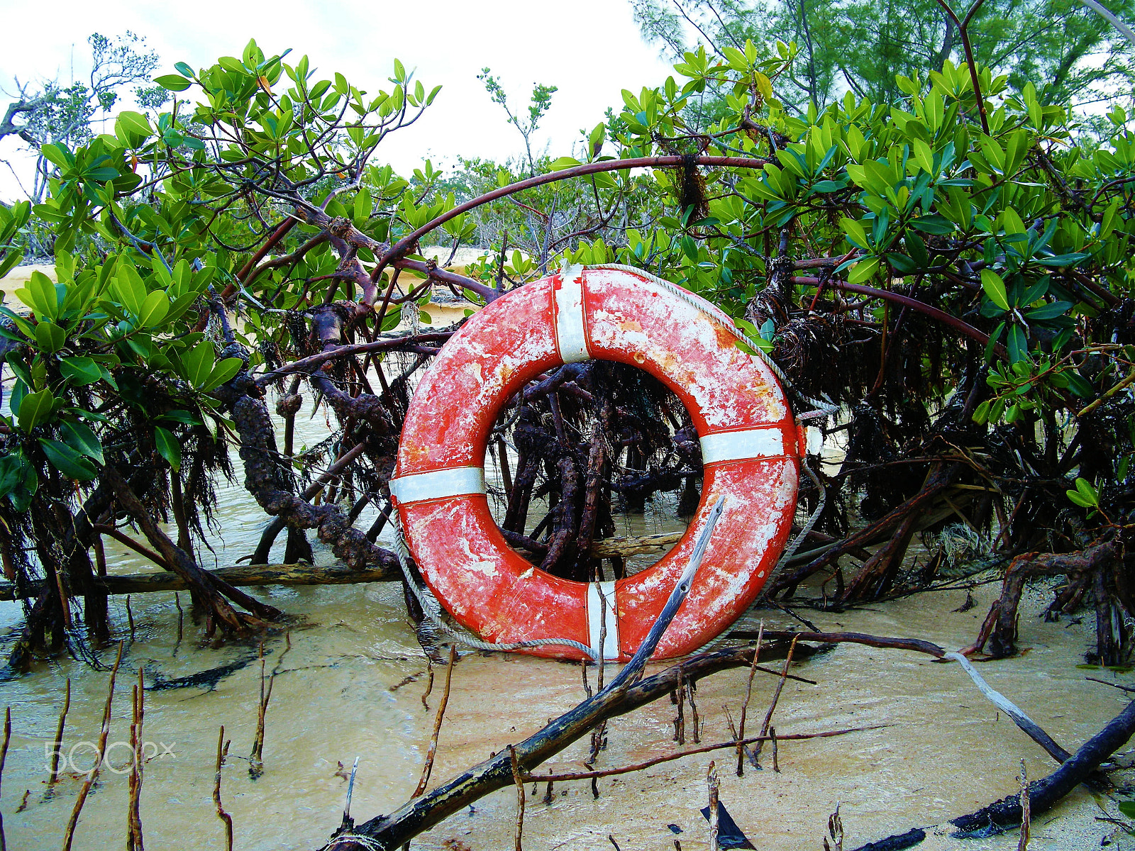 Nikon COOLPIX S700 sample photo. Ashore life preserver ring photography