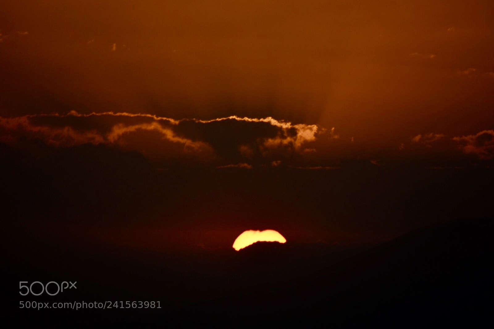 Nikon D7200 sample photo. This evening photography