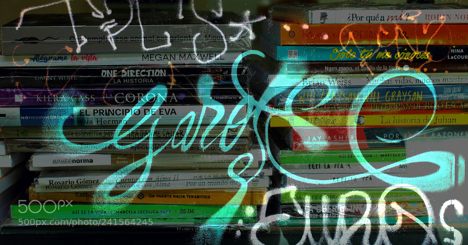 Canon EOS 1100D (EOS Rebel T3 / EOS Kiss X50) sample photo. Dos idiomas..dos mundos photography