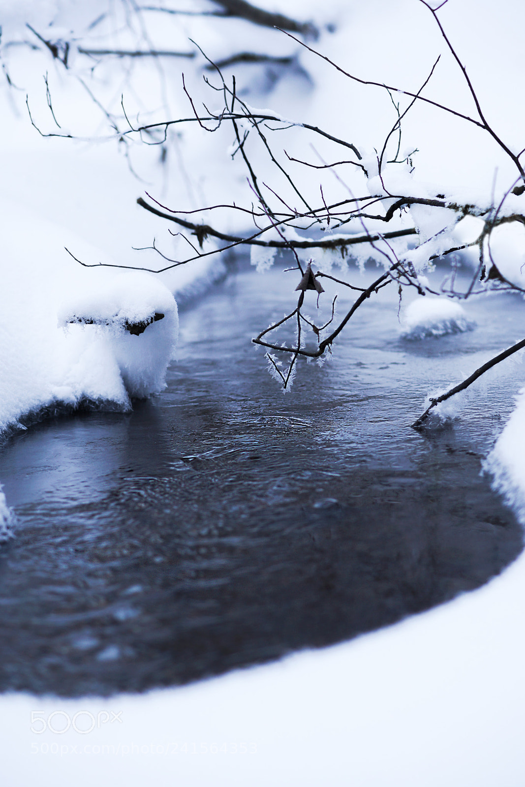 Sony Alpha a99 sample photo. Snowy shores photography