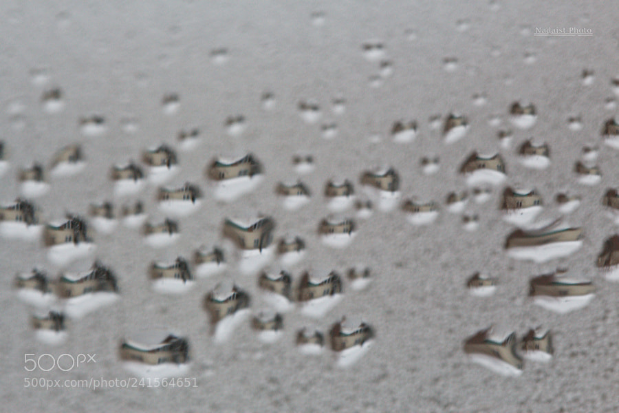 Canon EOS 700D (EOS Rebel T5i / EOS Kiss X7i) sample photo. Hiver photography