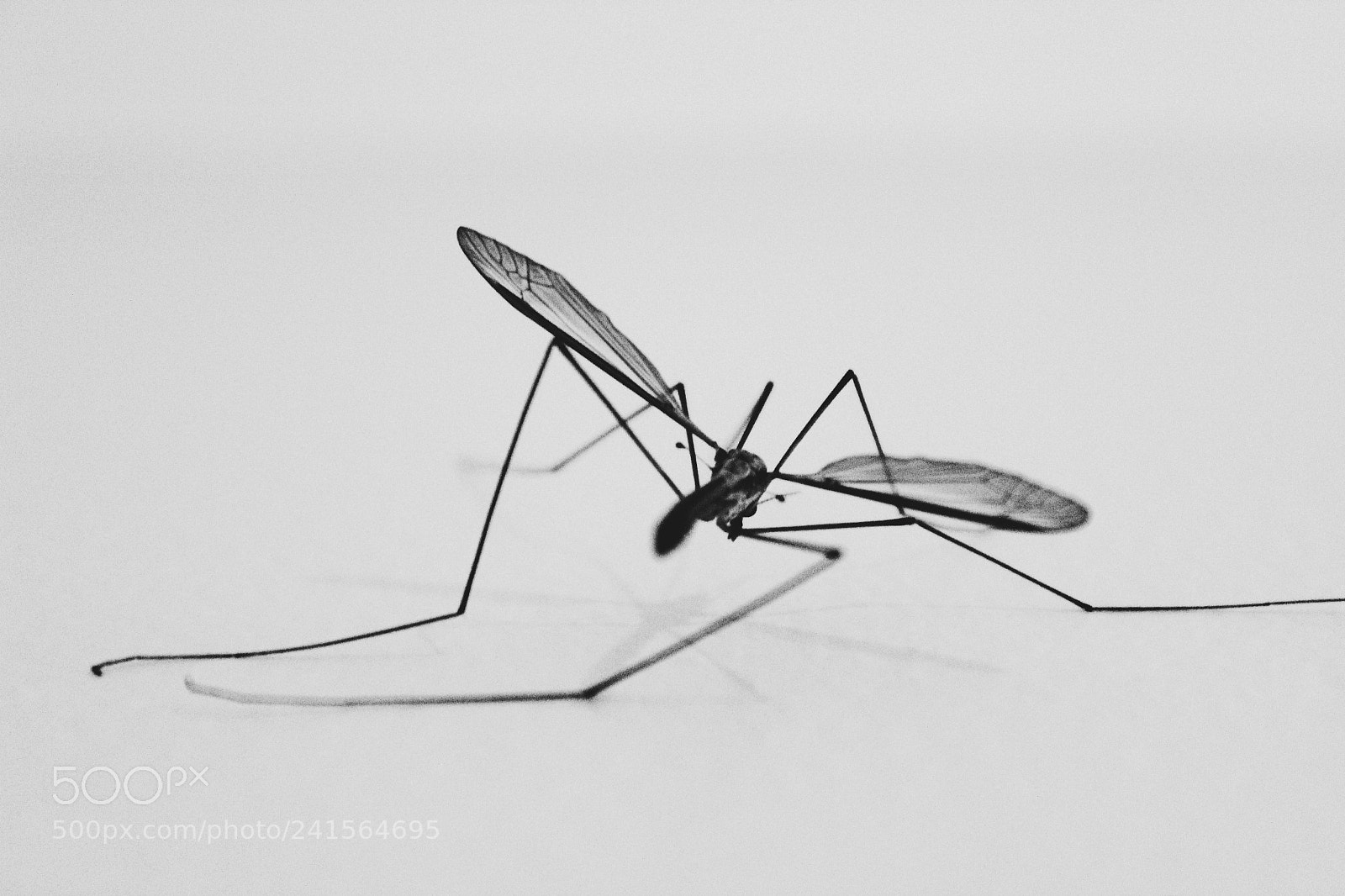 Canon EOS 1200D (EOS Rebel T5 / EOS Kiss X70 / EOS Hi) sample photo. Processed with vsco with photography