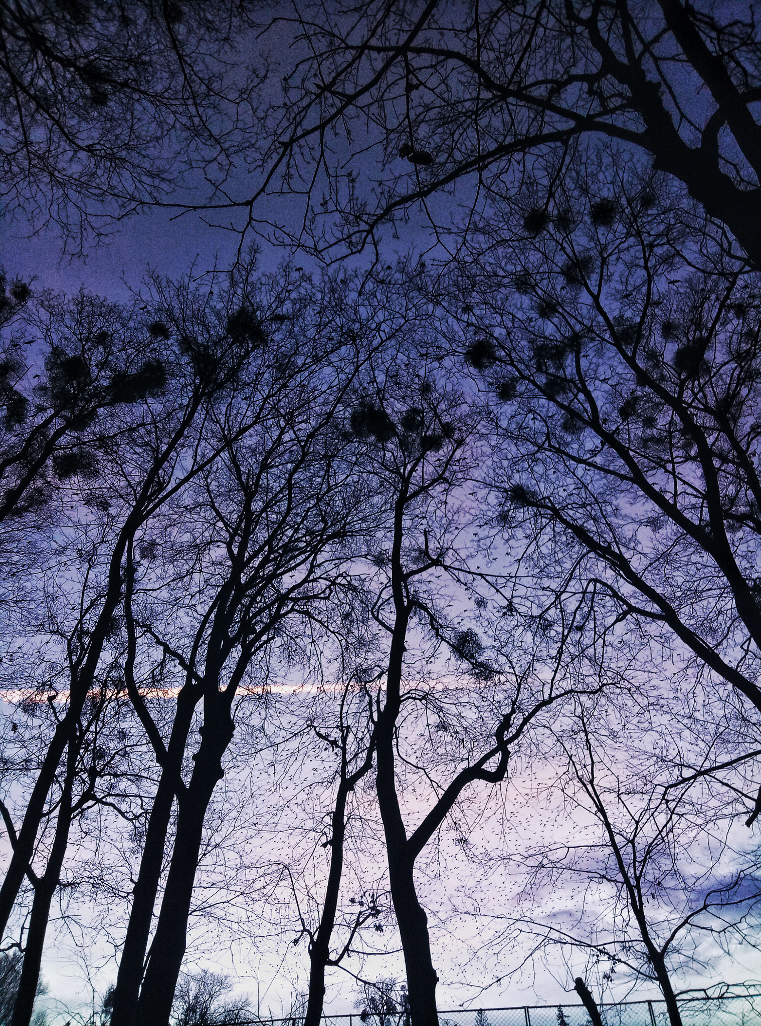 Meizu M3 Max sample photo
