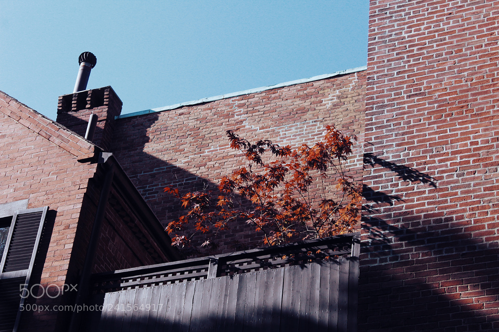 Canon EOS 1200D (EOS Rebel T5 / EOS Kiss X70 / EOS Hi) sample photo. Processed with vsco with photography