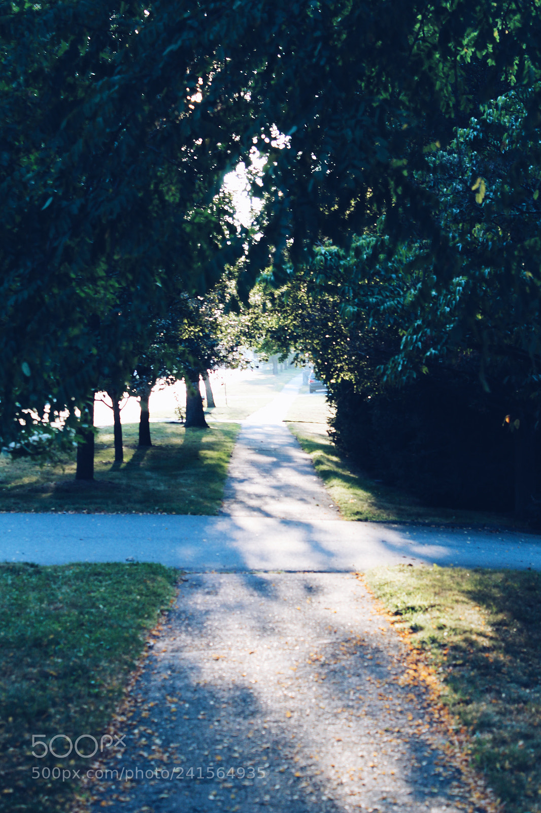 Canon EOS 1200D (EOS Rebel T5 / EOS Kiss X70 / EOS Hi) sample photo. Processed with vsco with photography