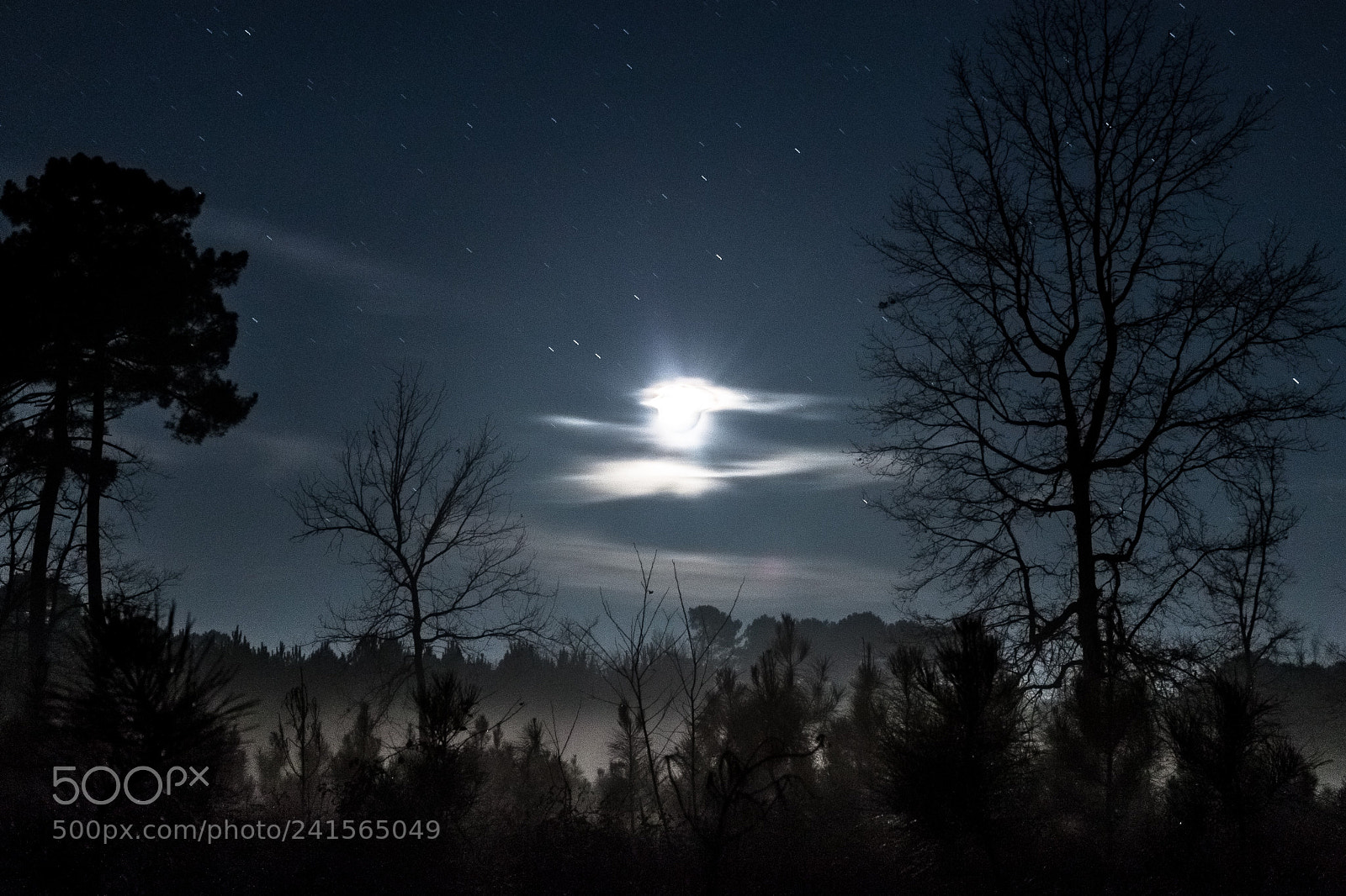 Canon EOS 500D (EOS Rebel T1i / EOS Kiss X3) sample photo. Moonlight photography