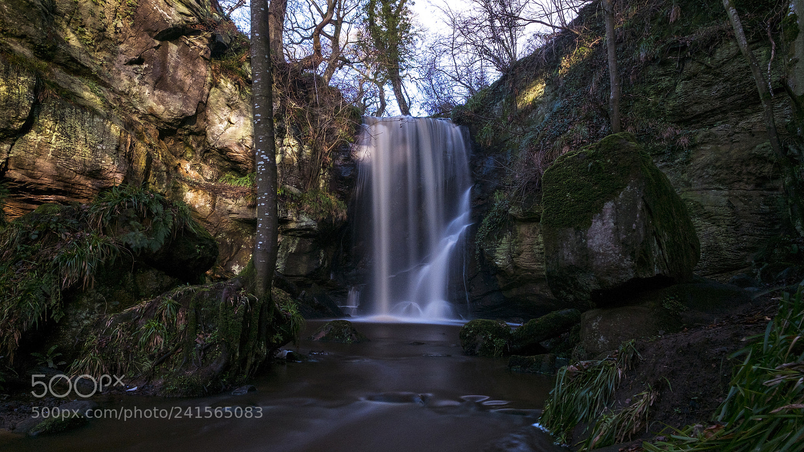 Fujifilm X-E1 sample photo. Roughting linn photography