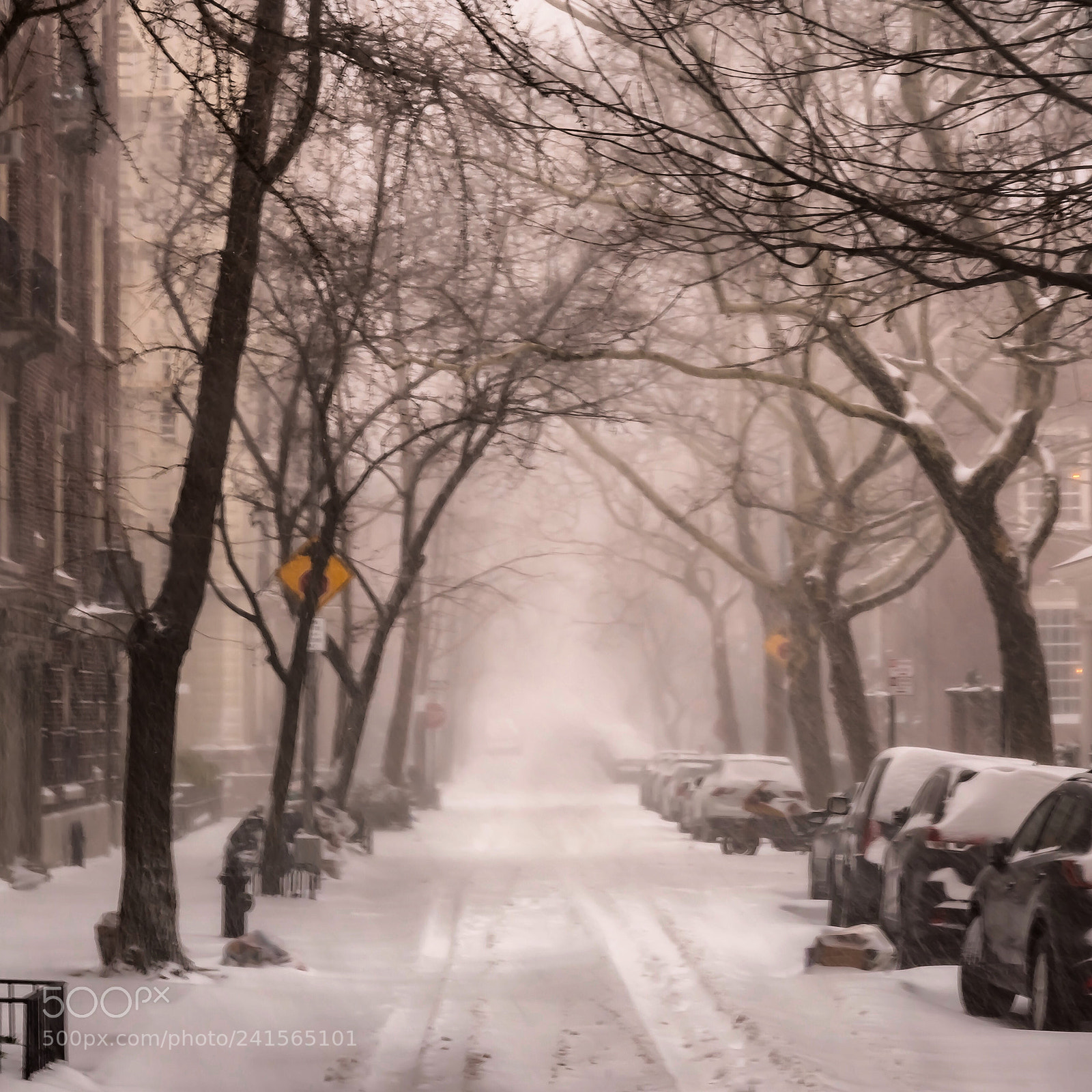 Nikon D500 sample photo. Snowy haze photography