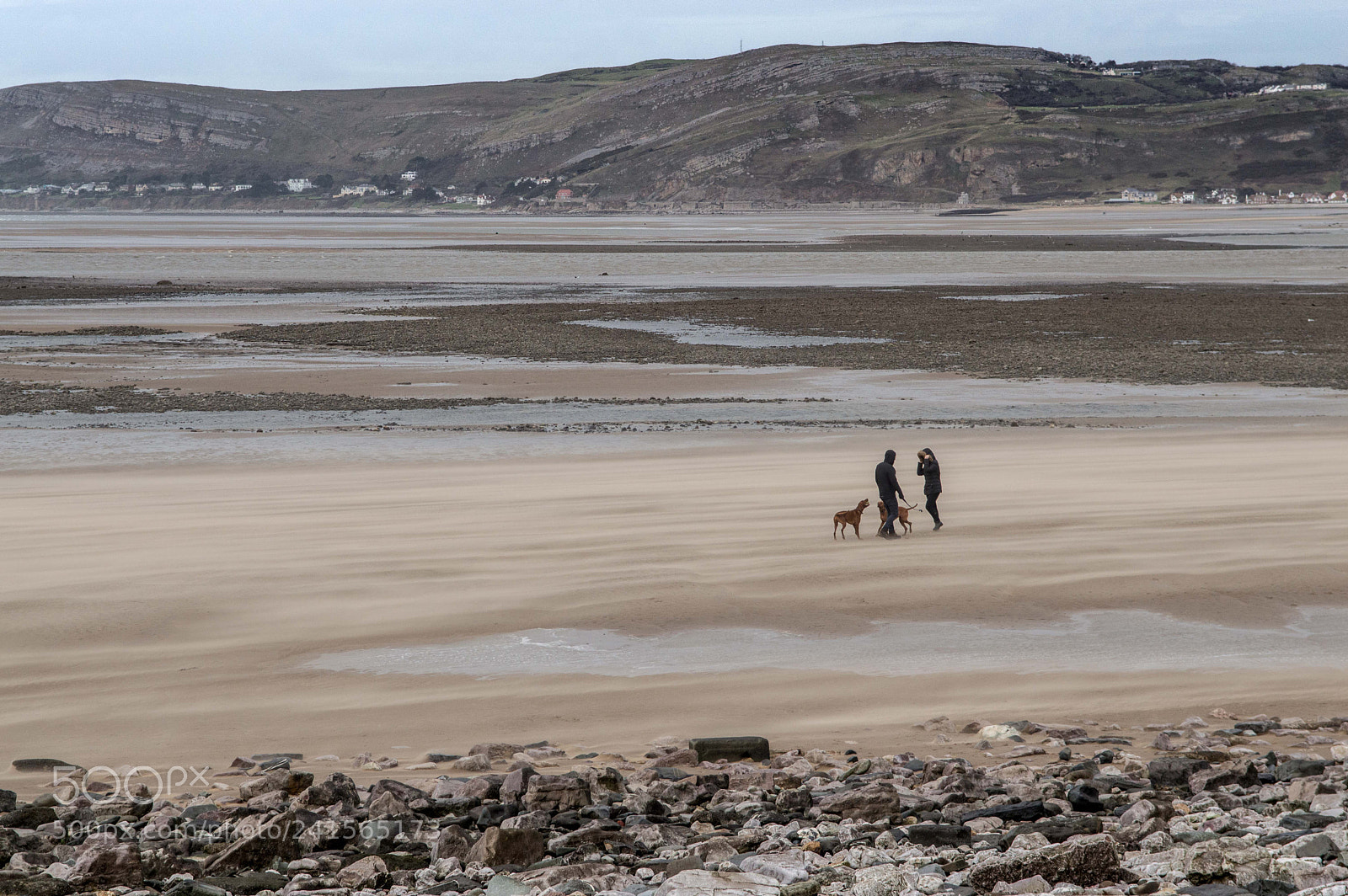 Nikon D3200 sample photo. Walk in the sand photography