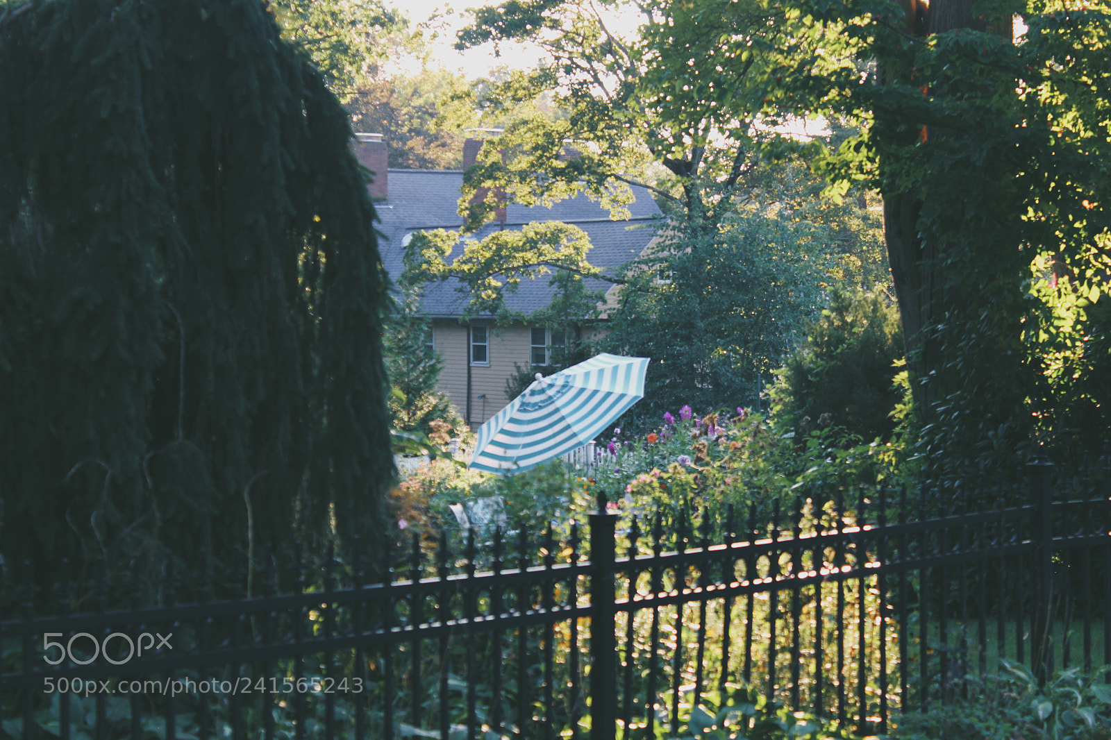 Canon EOS 1200D (EOS Rebel T5 / EOS Kiss X70 / EOS Hi) sample photo. Processed with vsco with photography