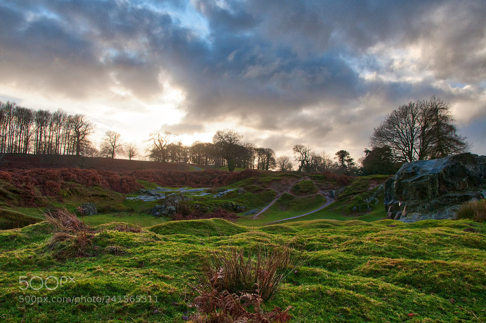 Nikon D90 sample photo. Bradgate park sunset photography