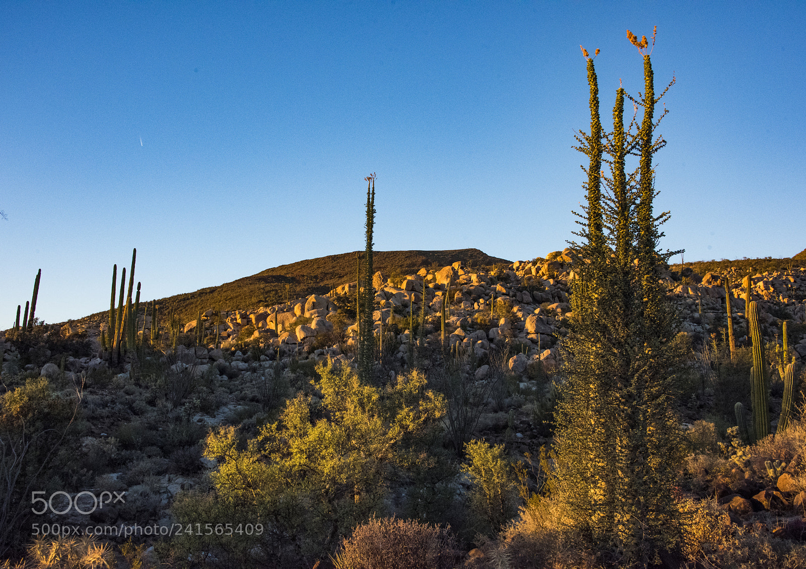 Nikon D810 sample photo. Catvinaboojumlandscape1 photography