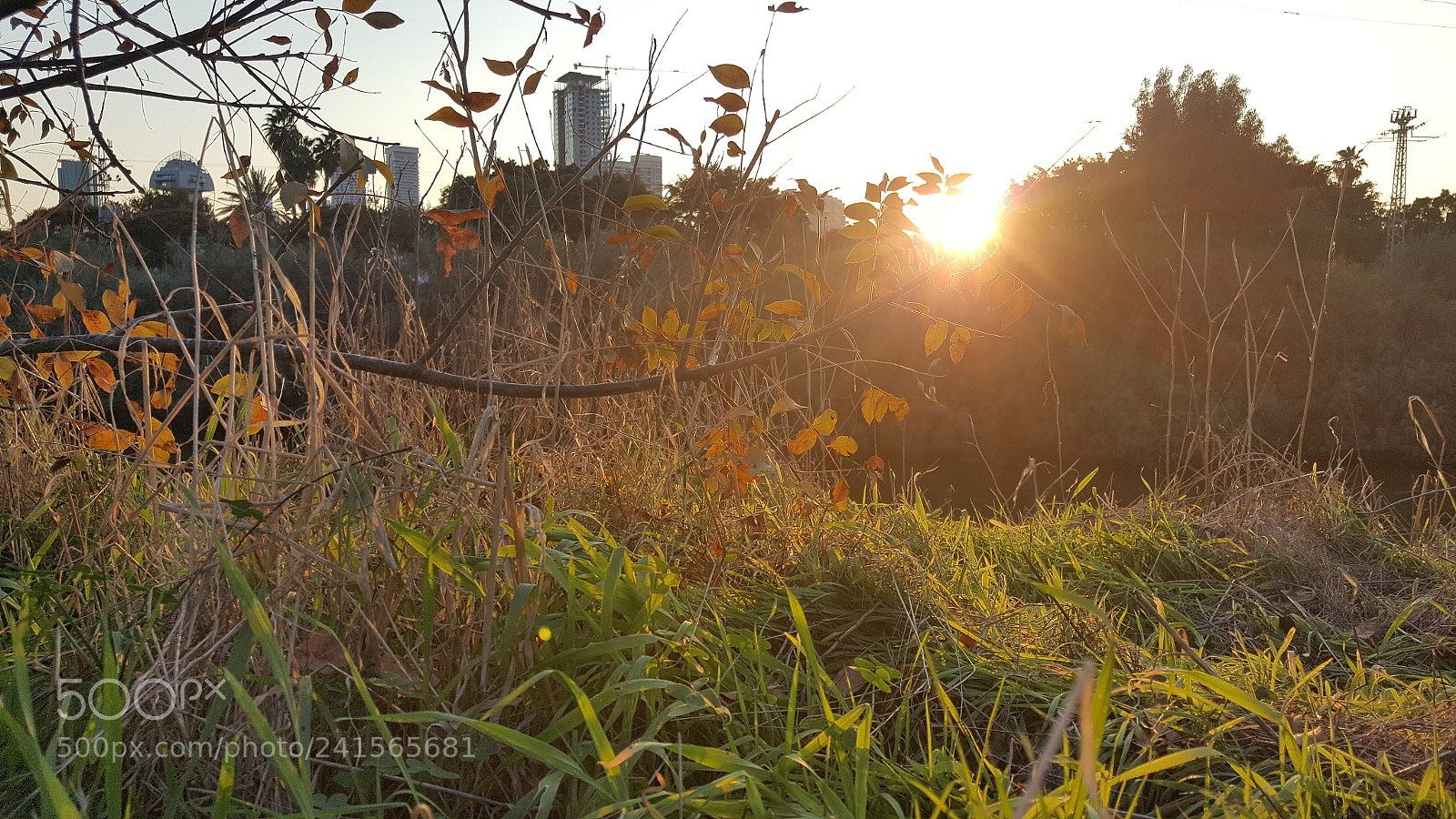 Samsung Galaxy S6 sample photo. Autumn park in the photography