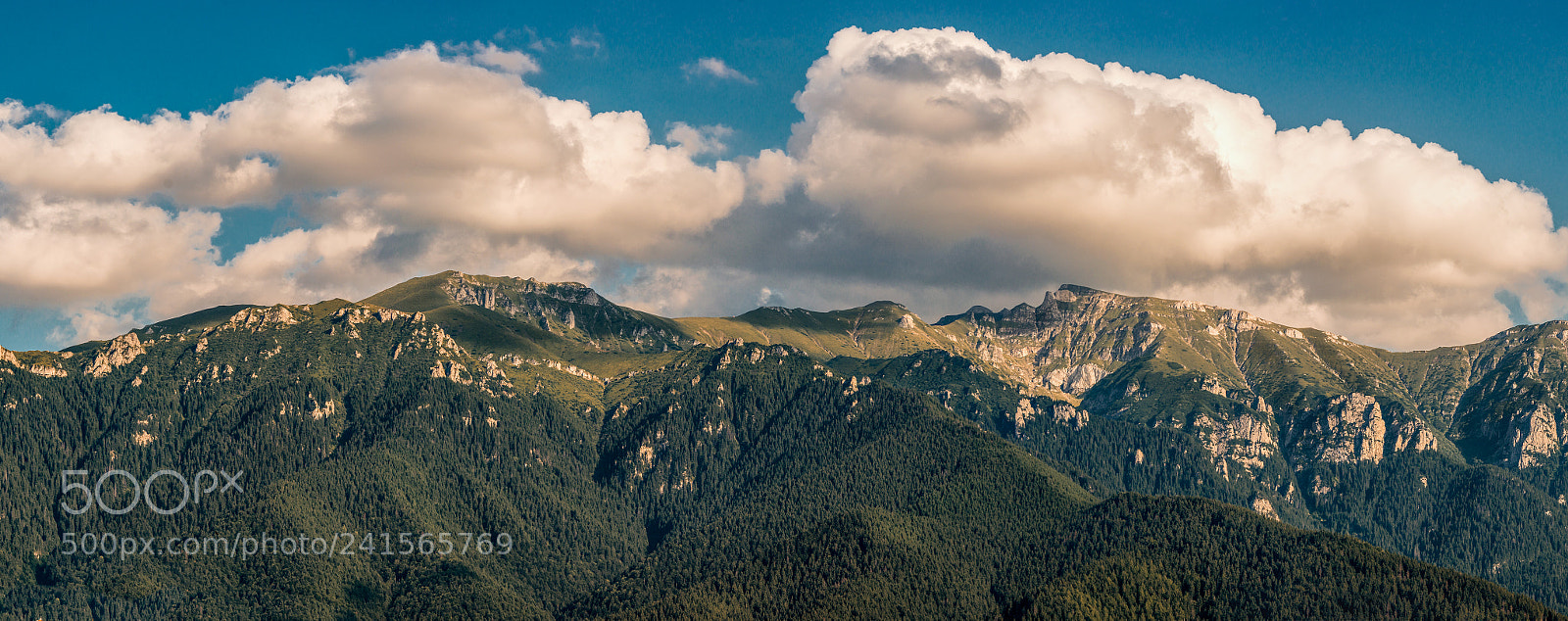 Nikon D800 sample photo. Carpathian mountains photography