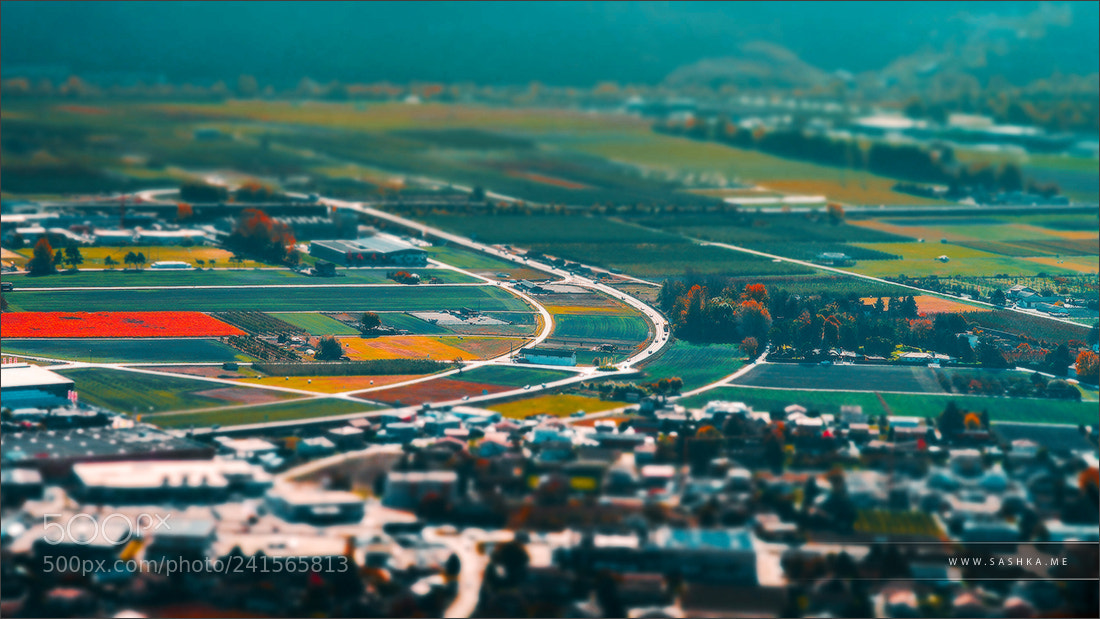 Sony Alpha a99 sample photo. Curved roads aerial view photography