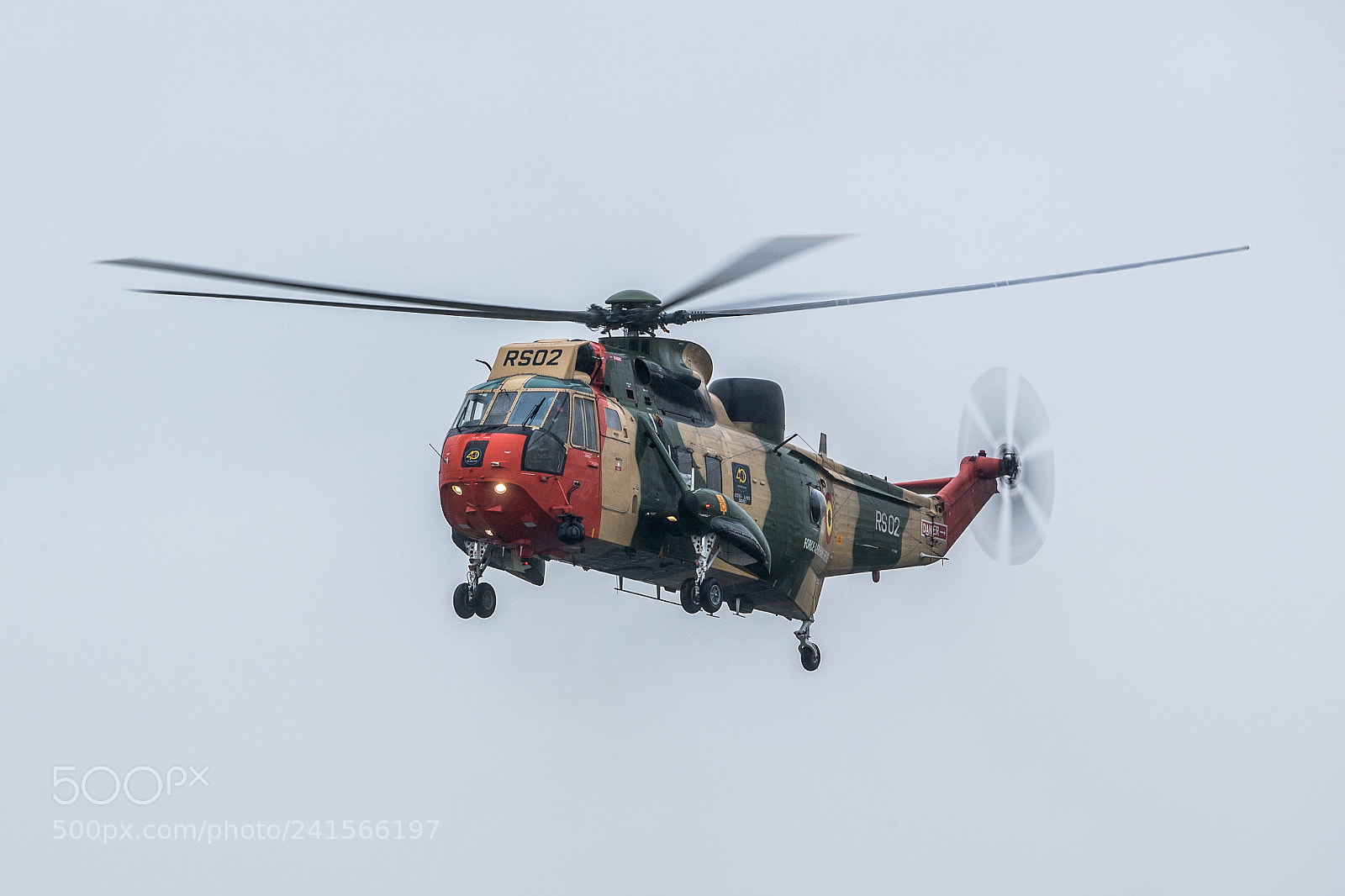 Canon EOS-1D X Mark II sample photo. Sea king photography