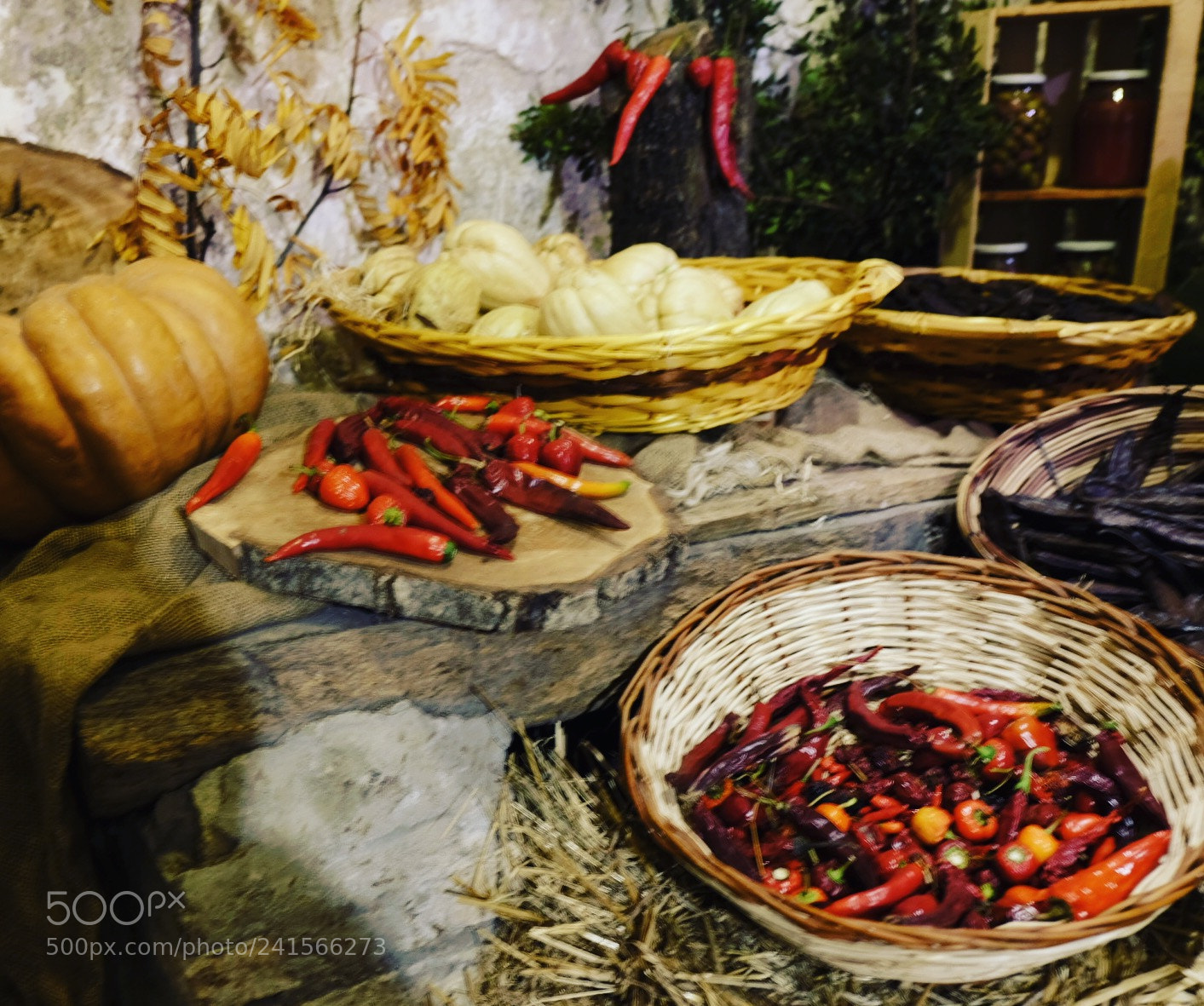 Fujifilm X-T1 sample photo. Untitled photography