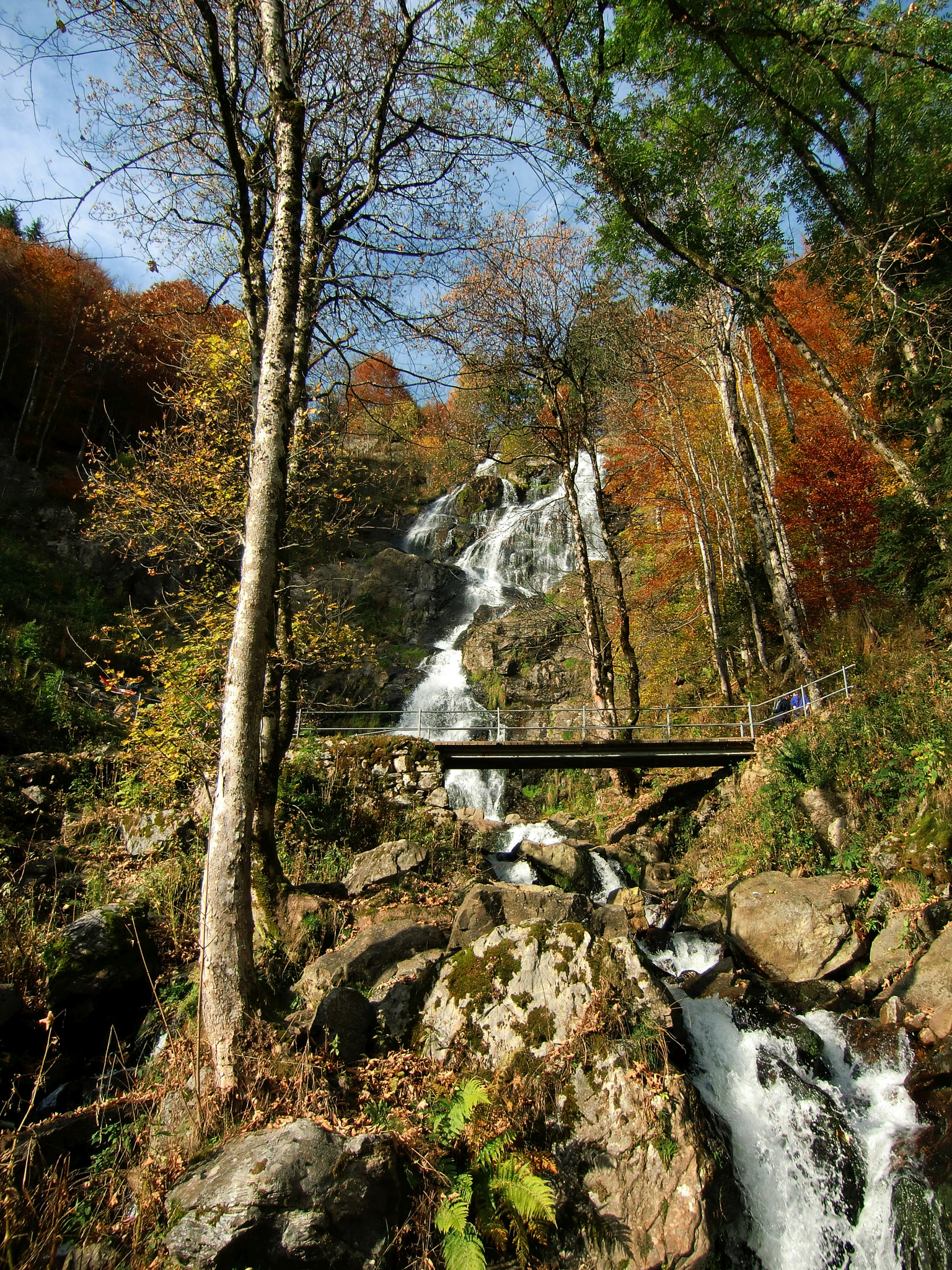 CASIO EX-H10 sample photo. Todtnau black forest photography