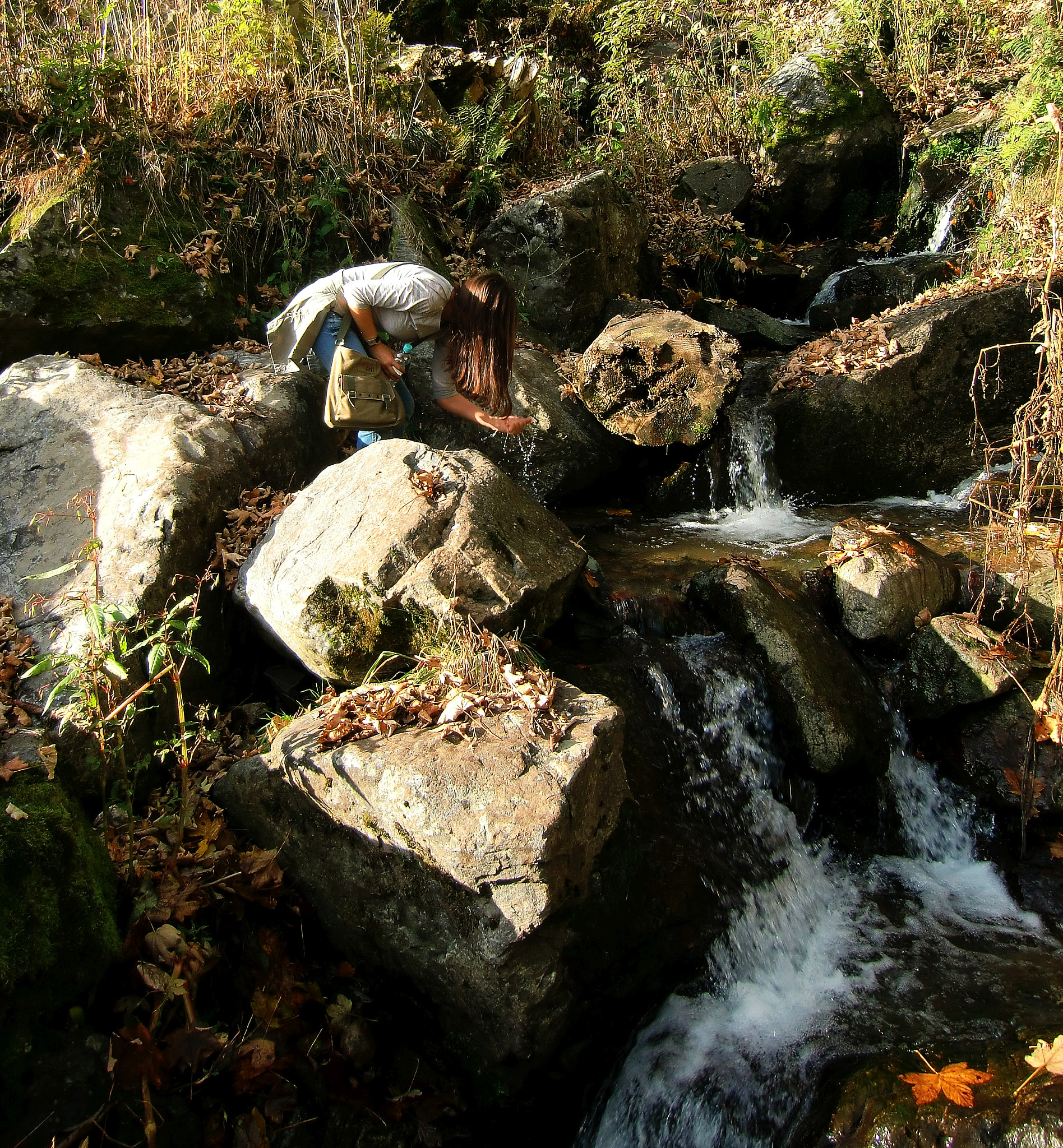 CASIO EX-H10 sample photo. Todtnau black forest photography