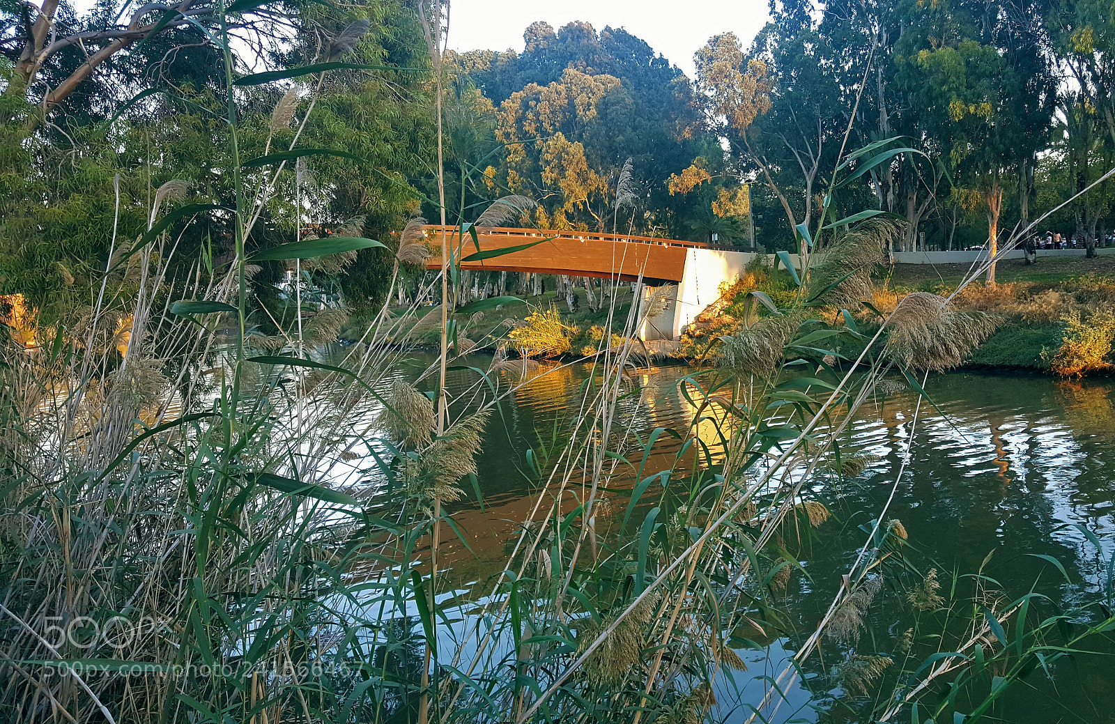 Samsung Galaxy S6 sample photo. Wooden bridge photography