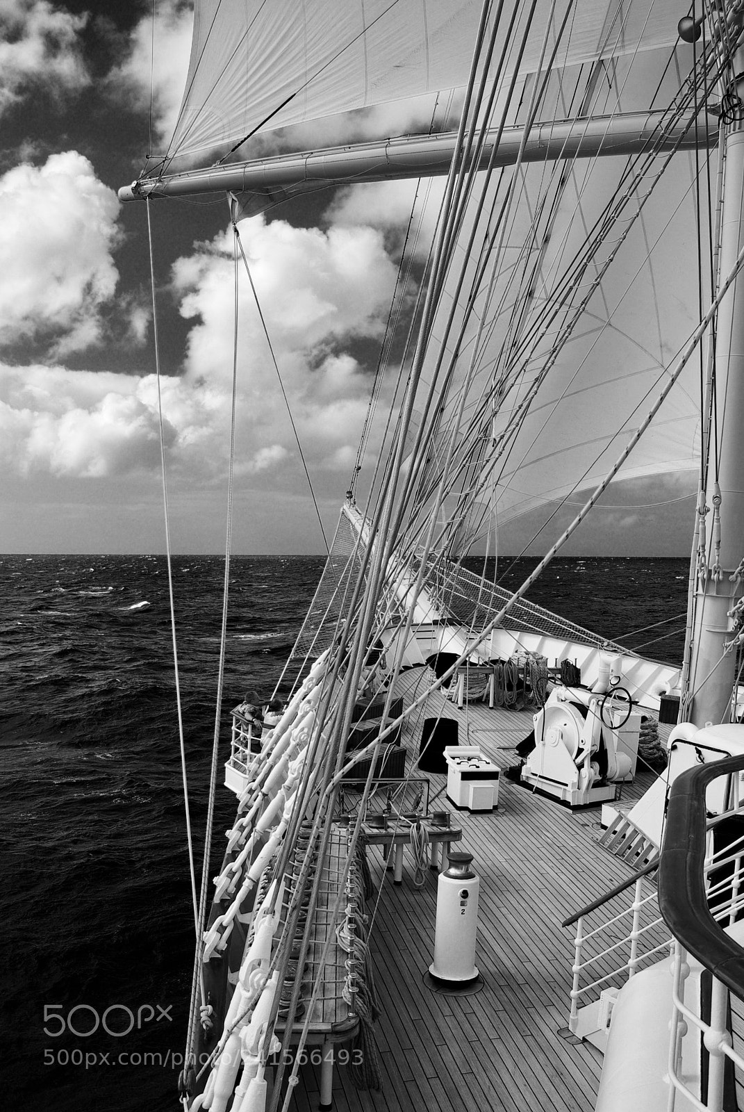 Pentax K10D sample photo. Running down wind- a photography