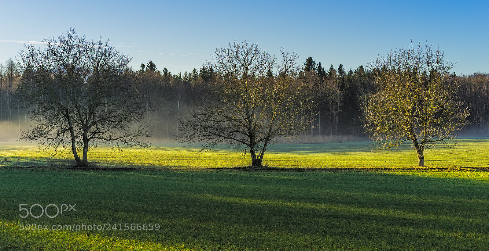 Sony a7 II sample photo. The green three kings photography
