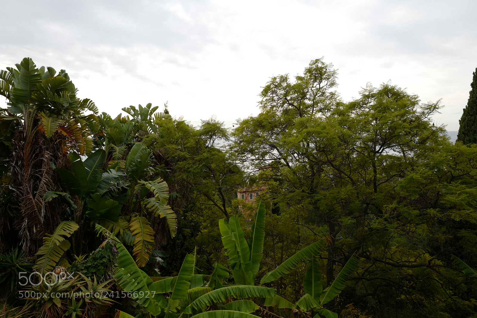 Leica Q (Typ 116) sample photo. Lost house photography