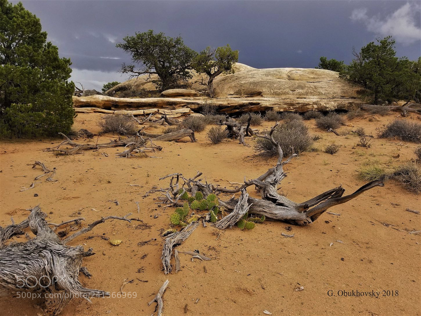 Samsung Galaxy S8 sample photo. Needles, canyonlands - pothole photography