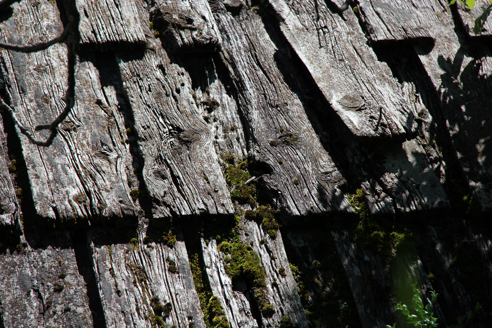 Canon EF-S 18-200mm F3.5-5.6 IS sample photo. Bergerie photography
