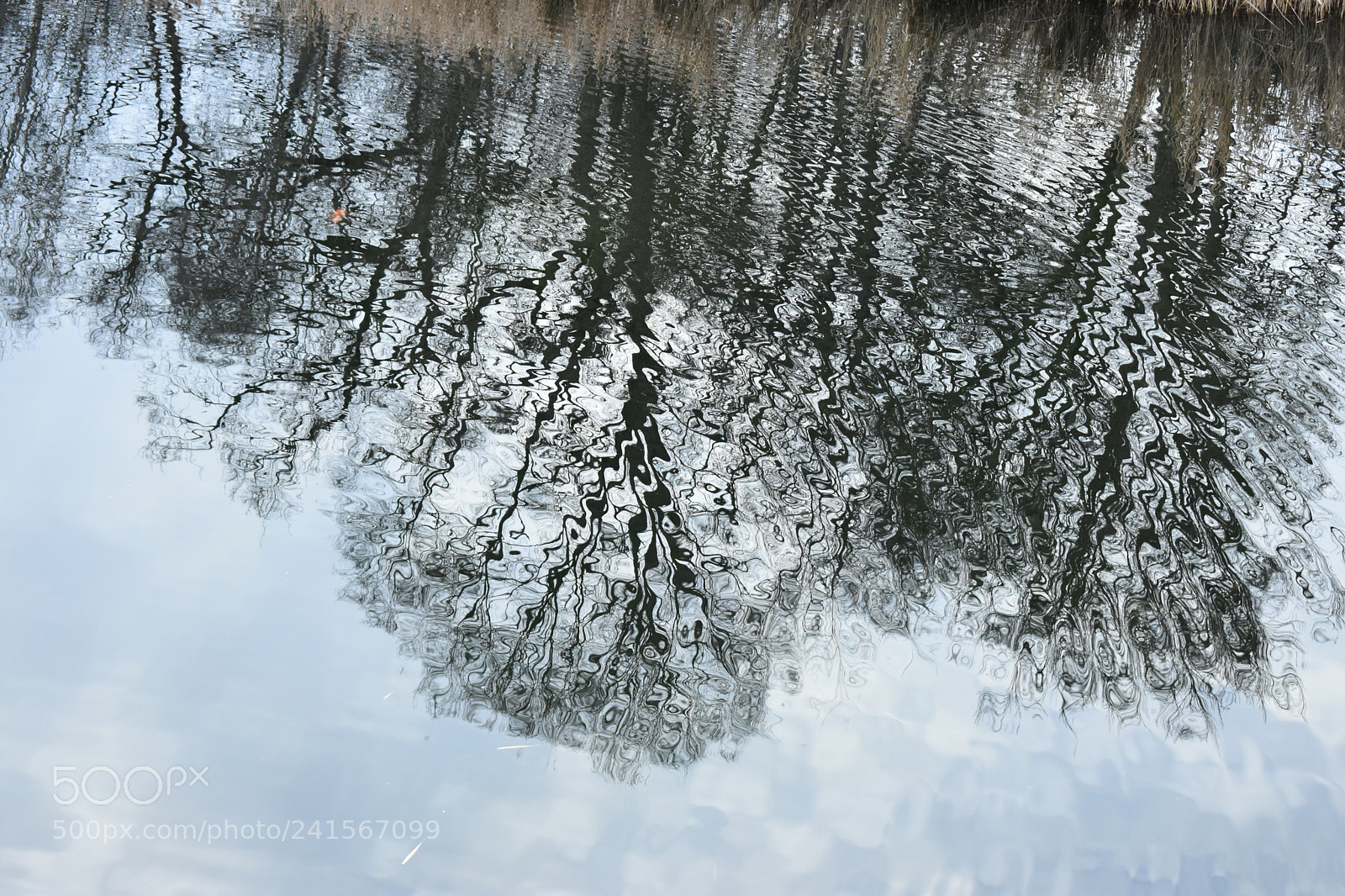 Nikon D3400 sample photo. Rubbish photography