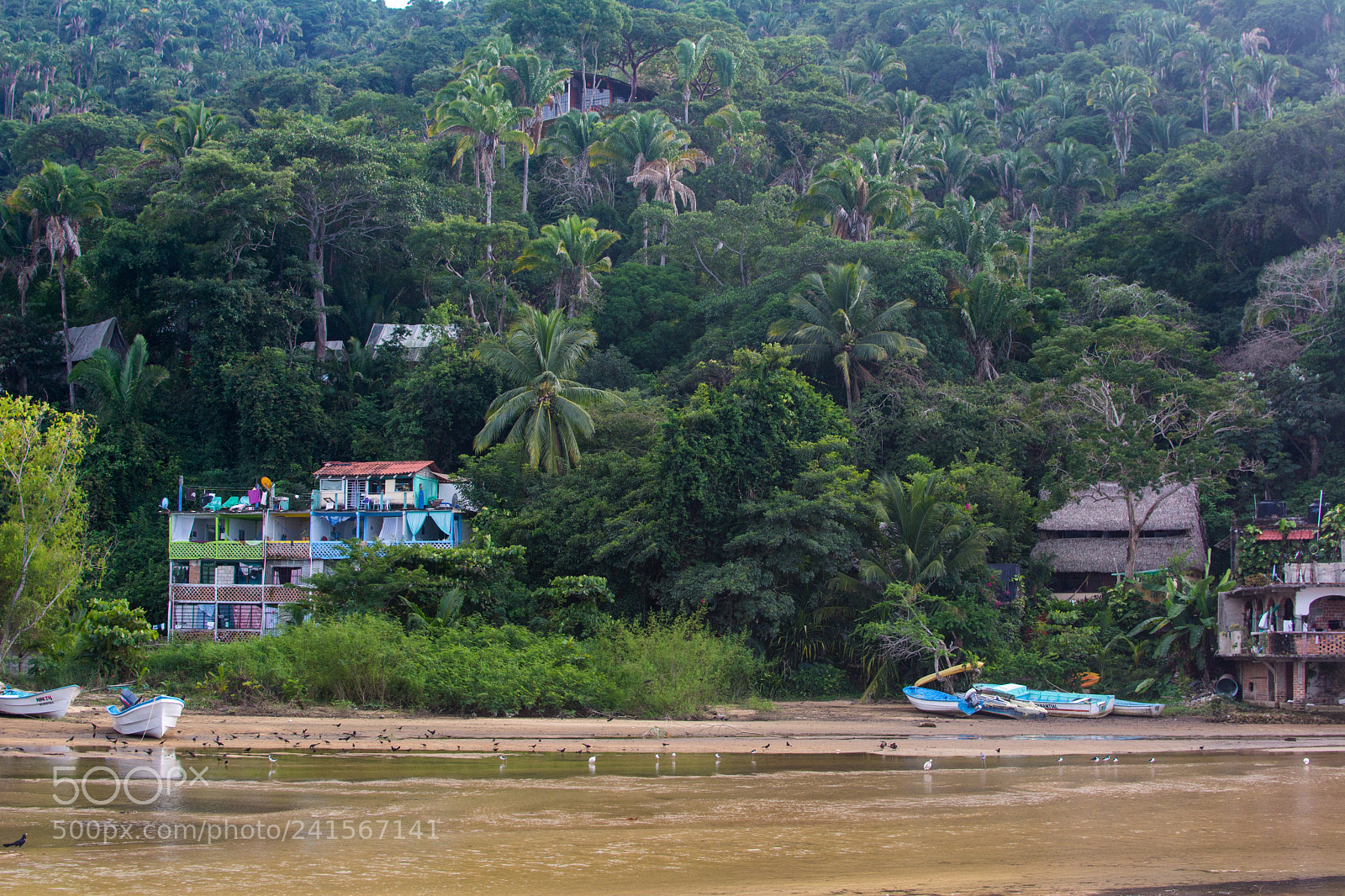 Nikon D7100 sample photo. Hillside of yelapa photography