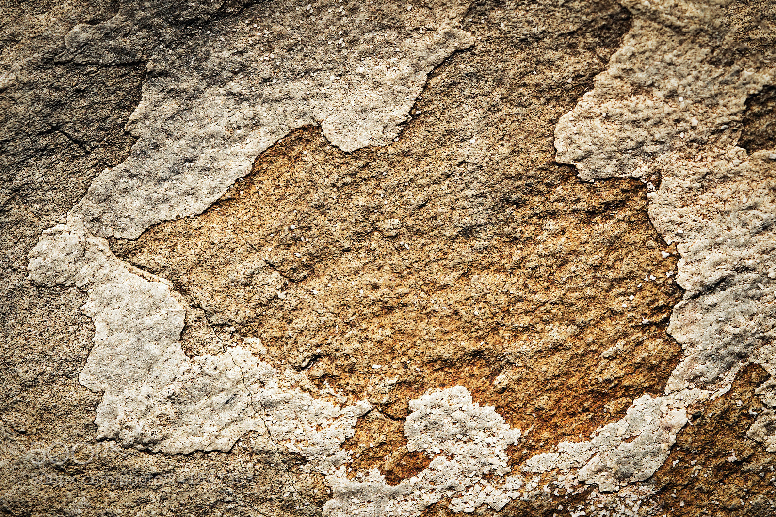 Nikon D5500 sample photo. Abstract shape on the photography