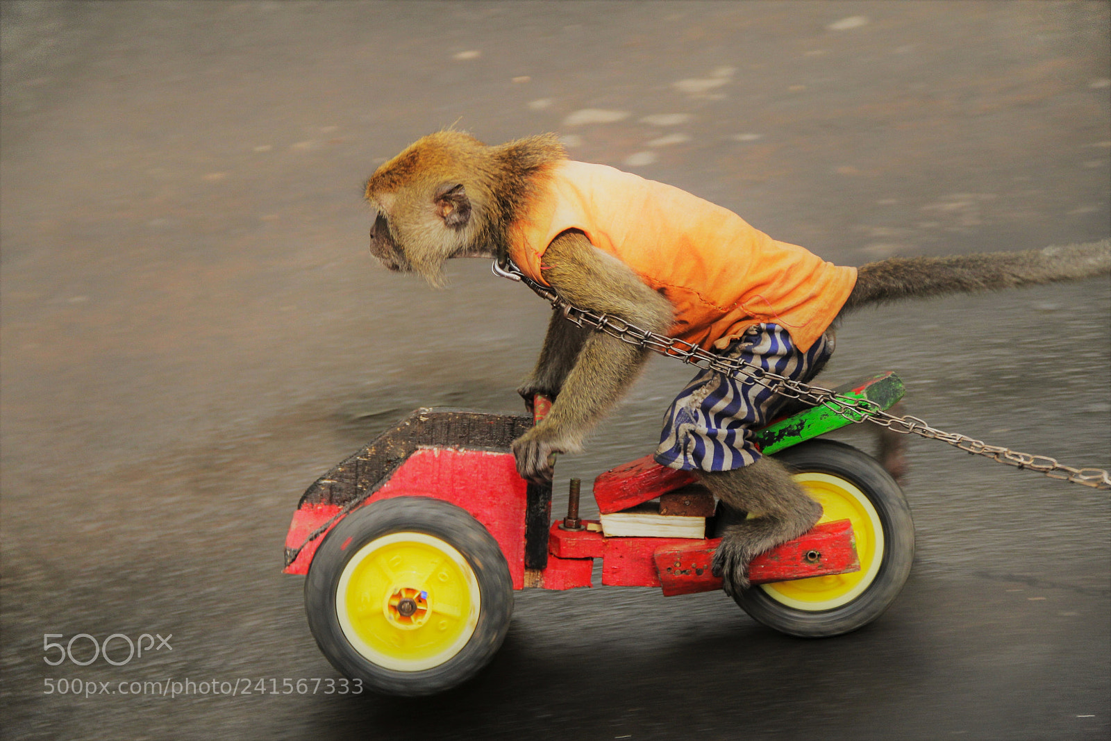 Canon EOS 60D sample photo. Victim rider photography