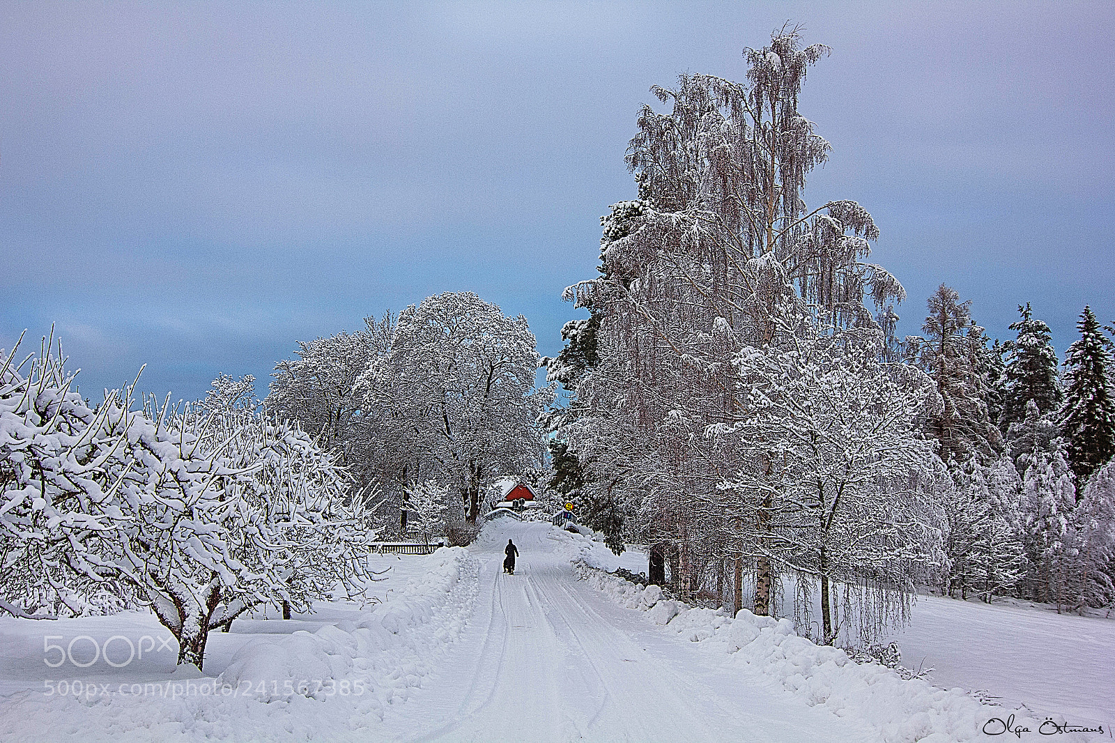 Canon EOS 550D (EOS Rebel T2i / EOS Kiss X4) sample photo. Winter road photography