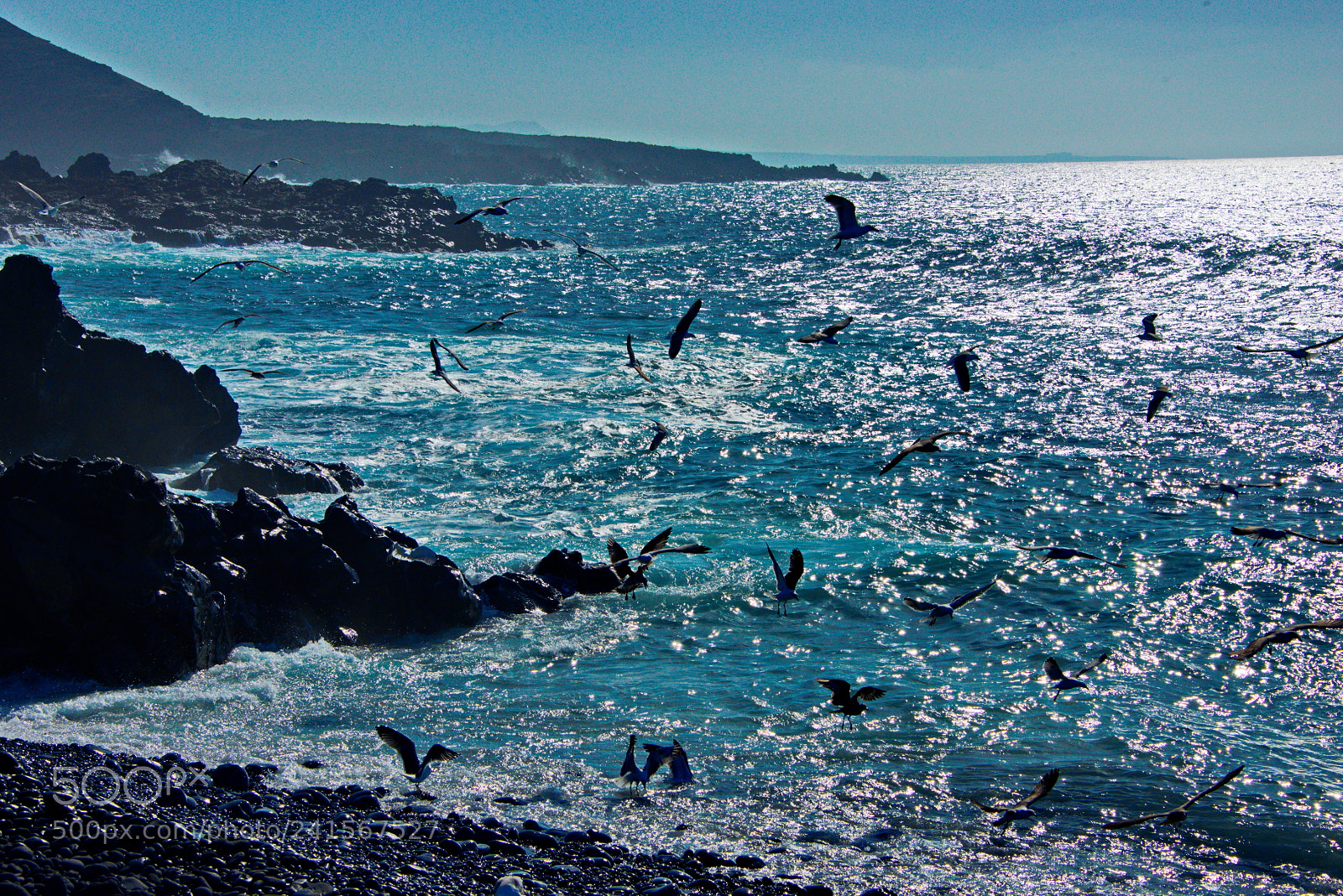 Nikon D800 sample photo. Lunch time in lanzarote photography