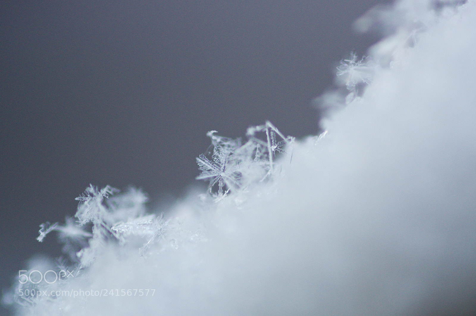 Pentax K-3 sample photo. Snow diagonal photography