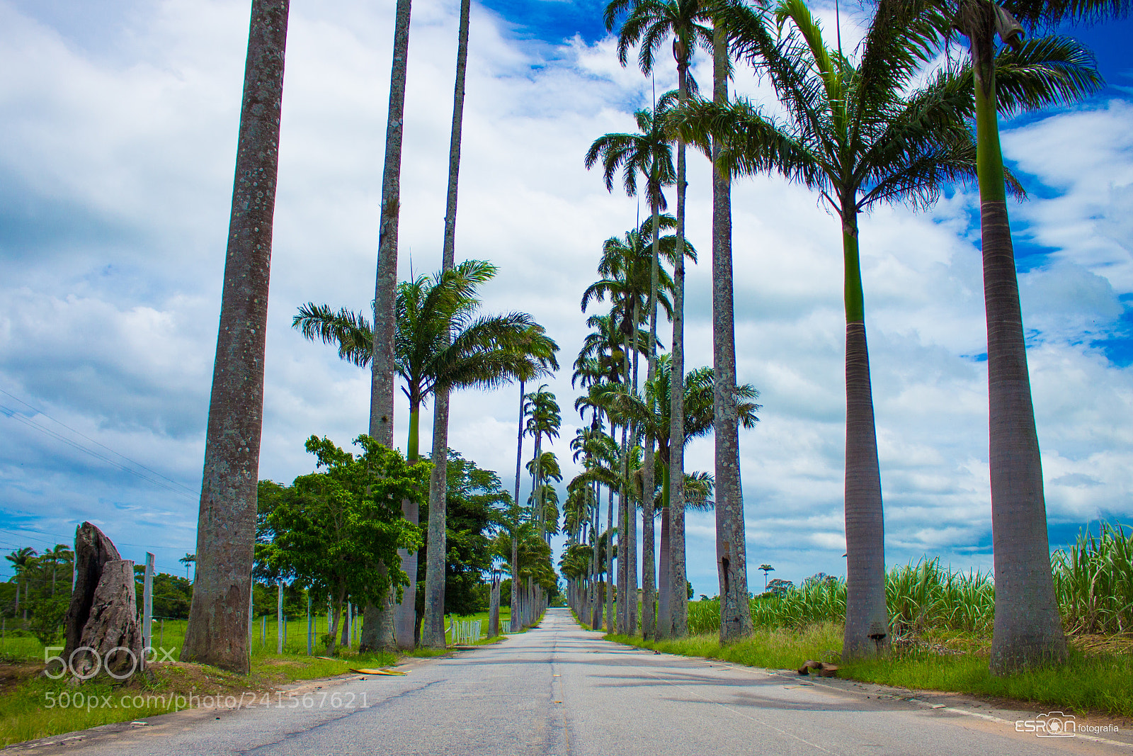 Canon EOS 700D (EOS Rebel T5i / EOS Kiss X7i) sample photo. Esron rodrigues photography