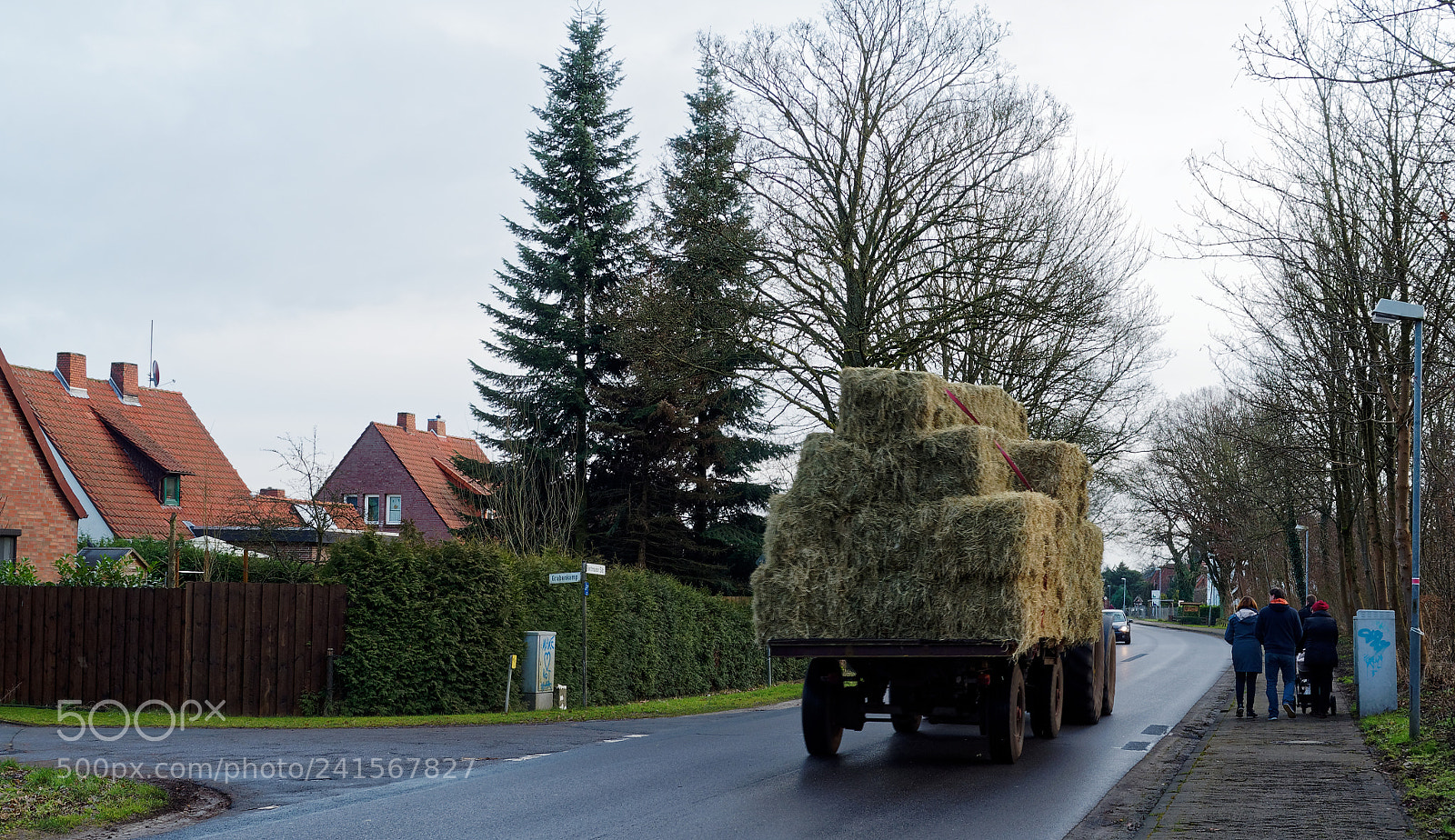 Olympus OM-D E-M5 sample photo. M den aller photography