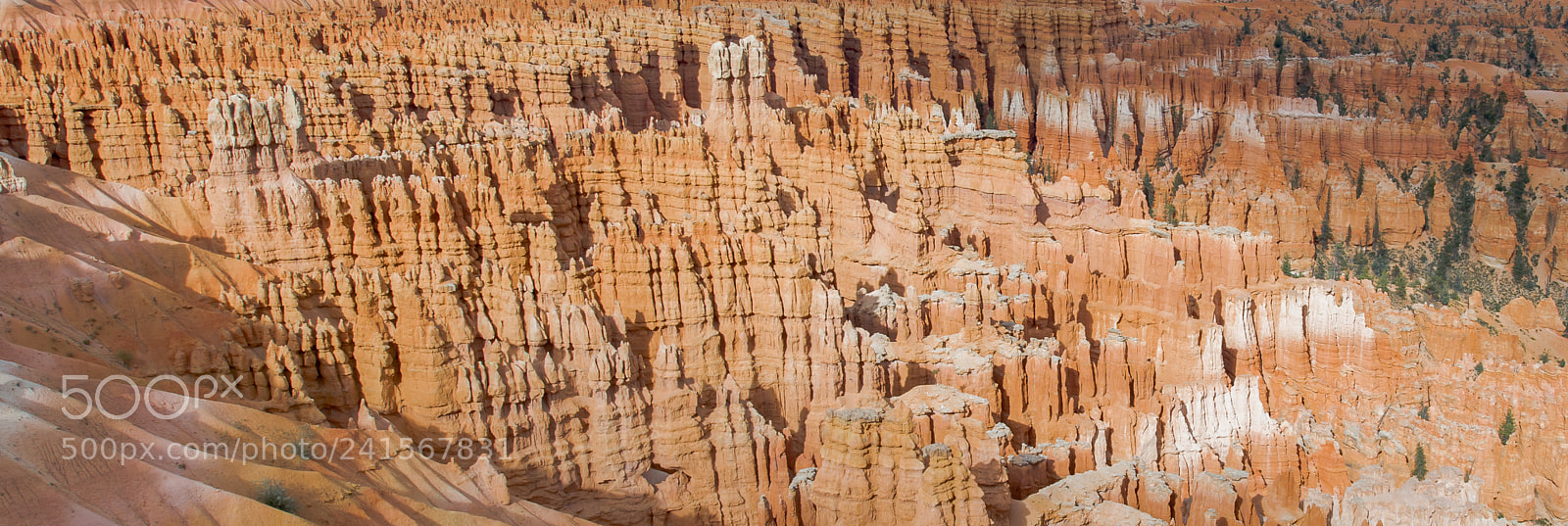 Nikon D4 sample photo. Day 5 - bryce photography