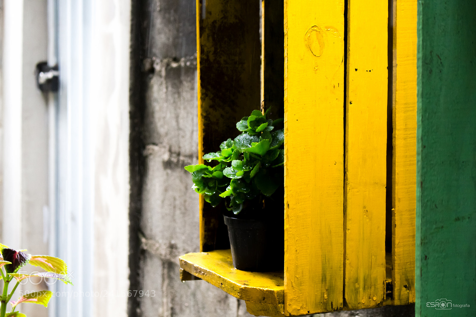 Canon EOS 700D (EOS Rebel T5i / EOS Kiss X7i) sample photo. Esron rodrigues photography