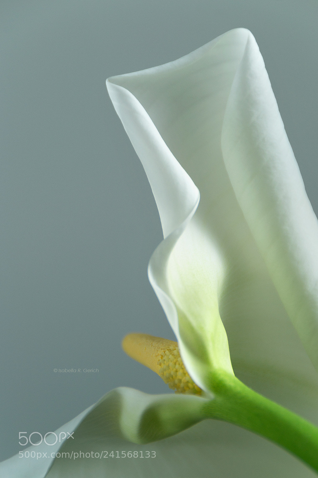 Nikon D3100 sample photo. White waves photography