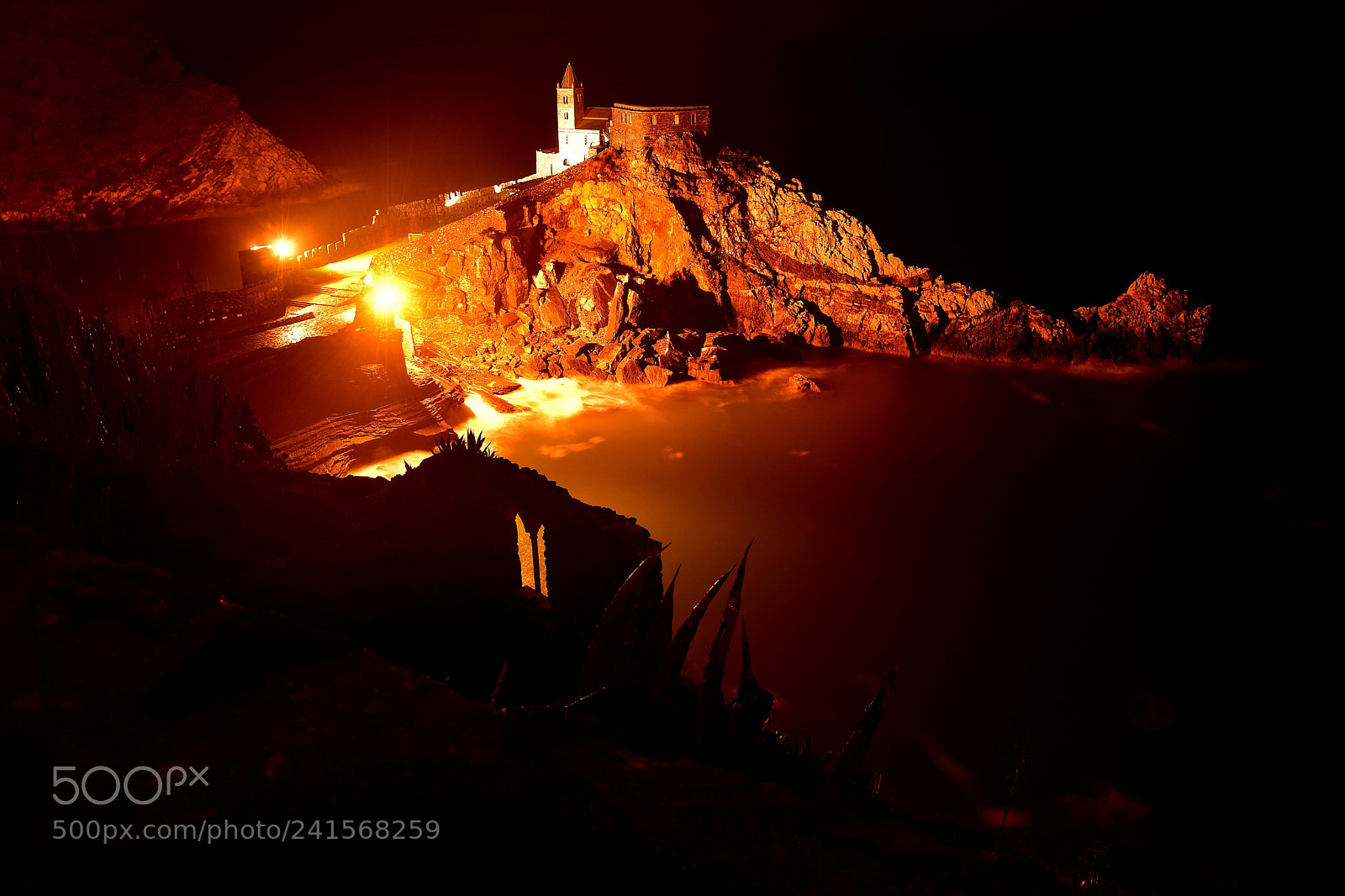 Nikon D5500 sample photo. Portovenere by night photography