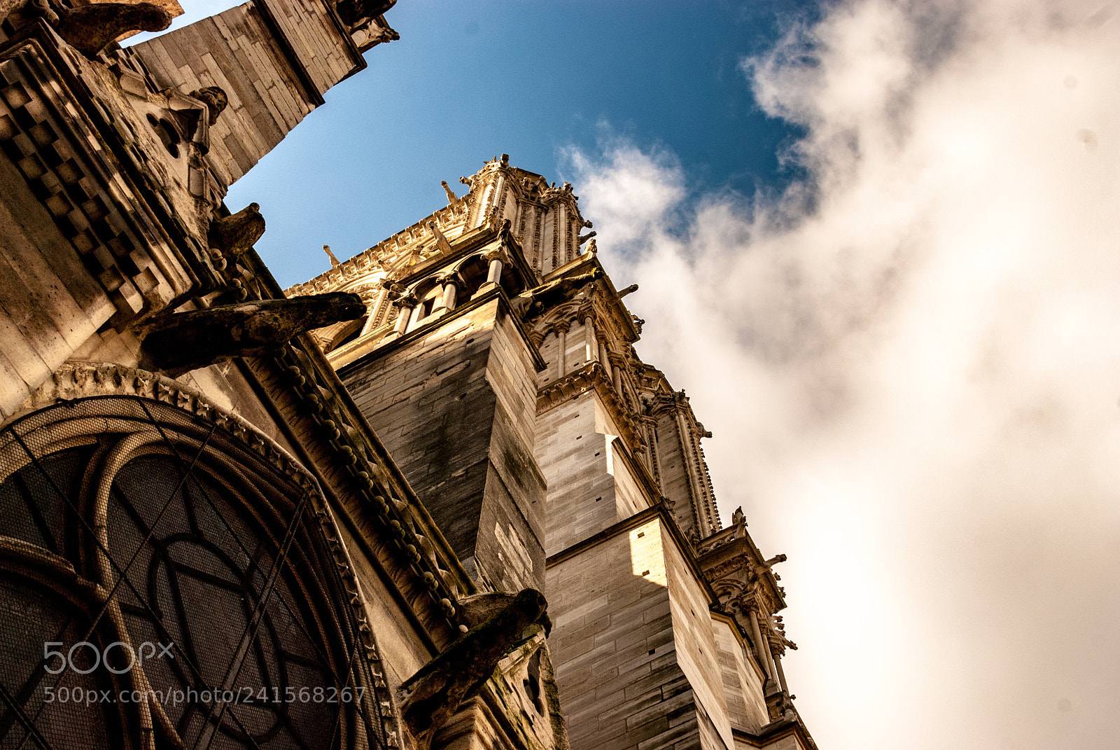 Nikon D80 sample photo. Sun in paris photography