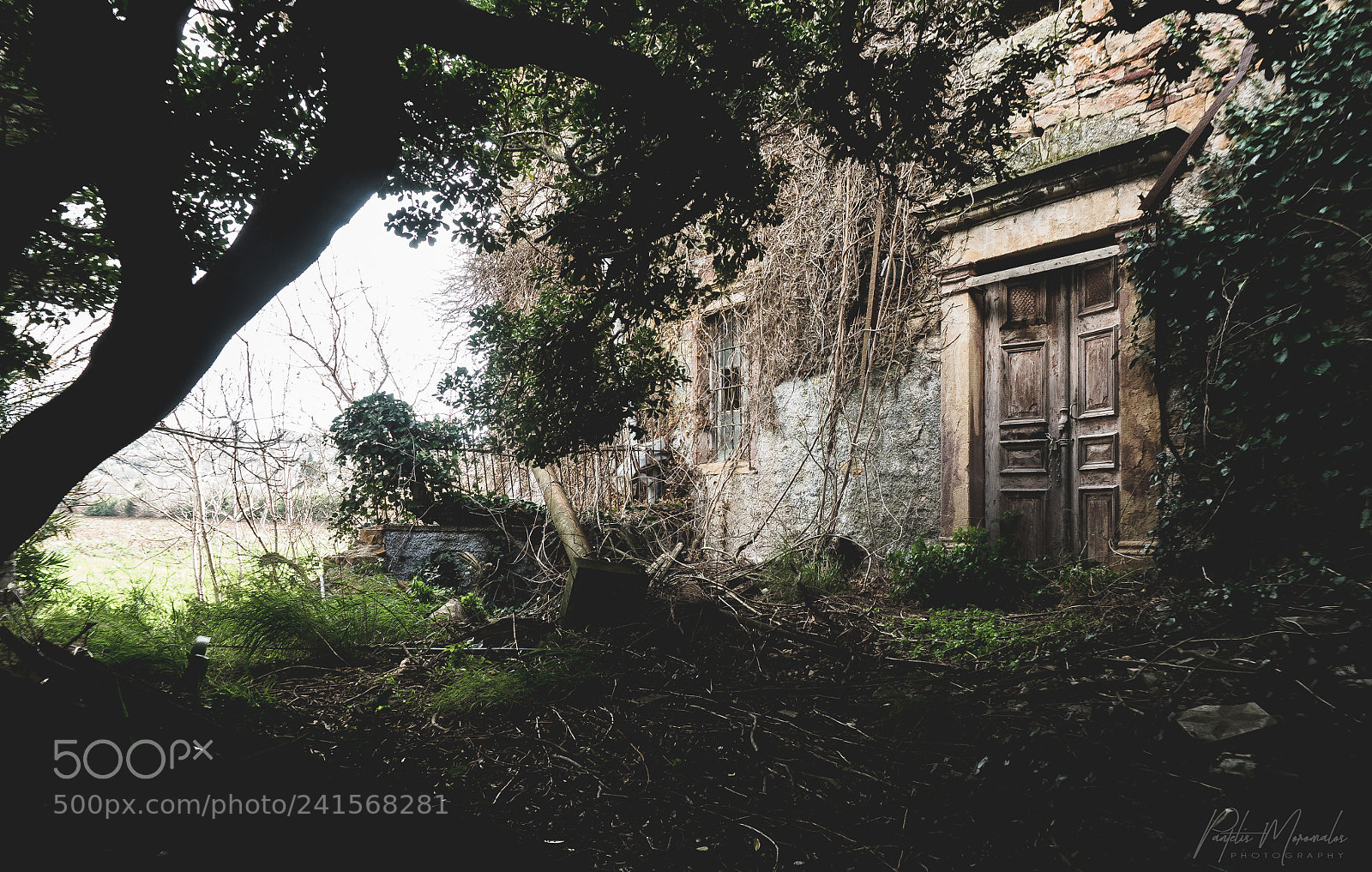 Olympus OM-D E-M1 sample photo. Abandoned house photography