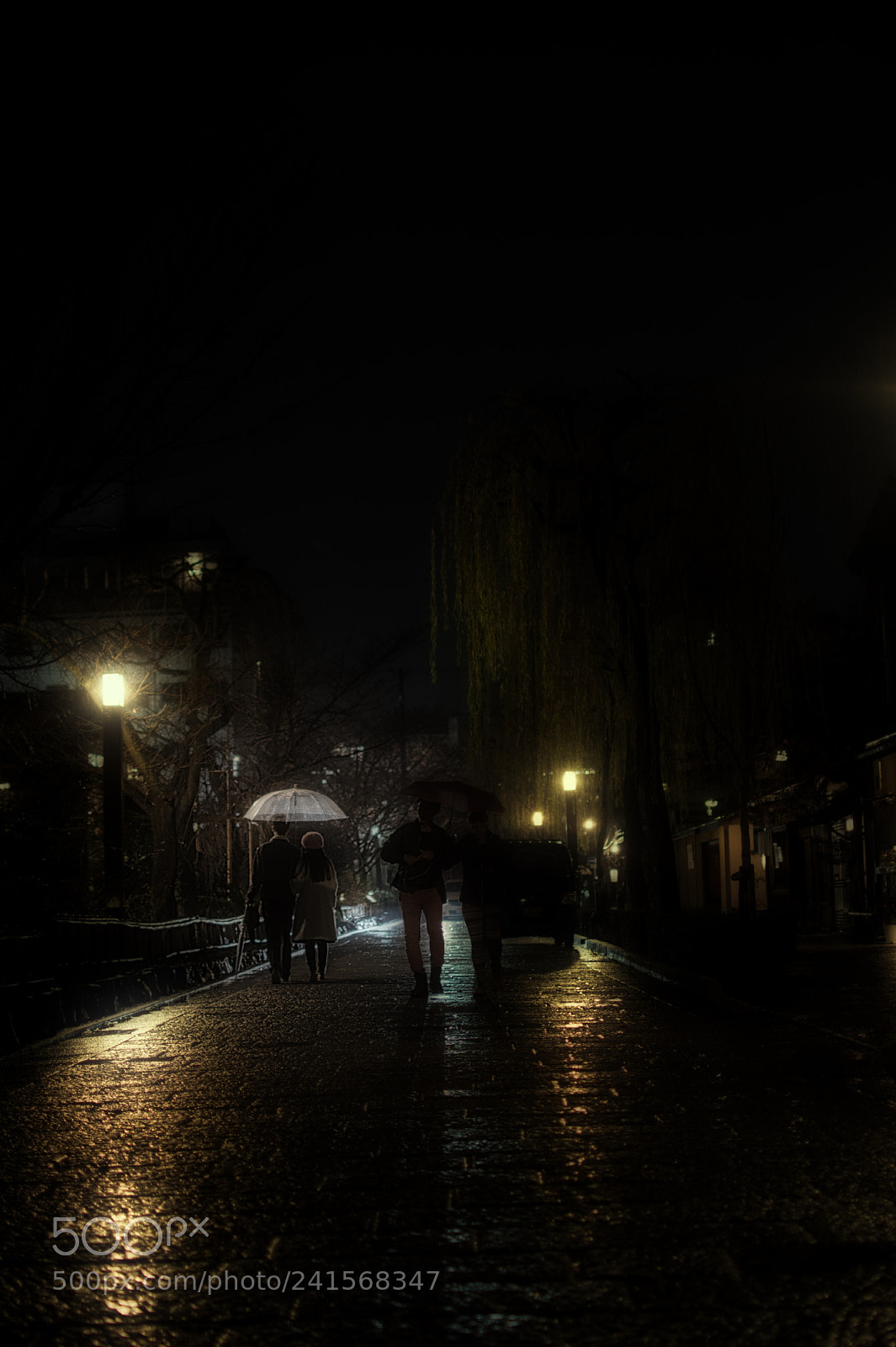 Nikon D7500 sample photo. Kyoto`s rain photography