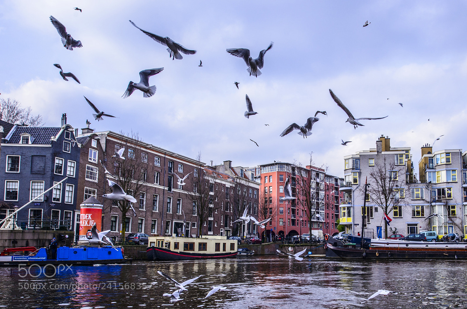 Nikon D800 sample photo. Amsterdom photography
