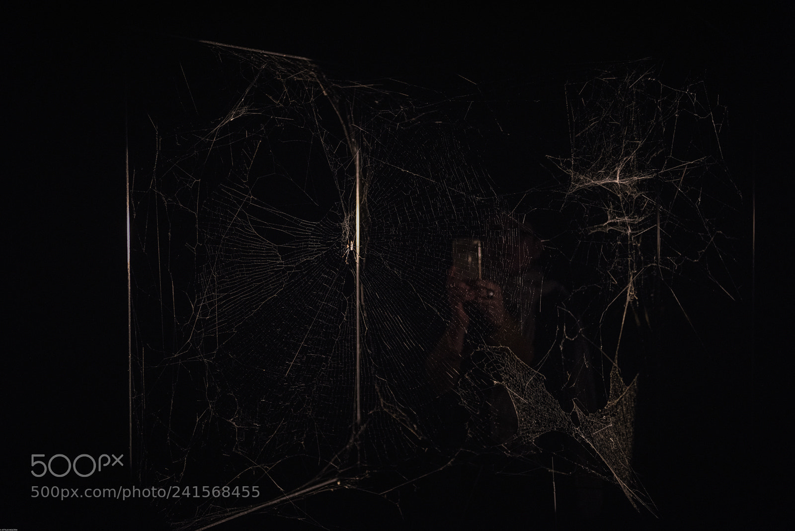 Nikon D810 sample photo. Photography photography