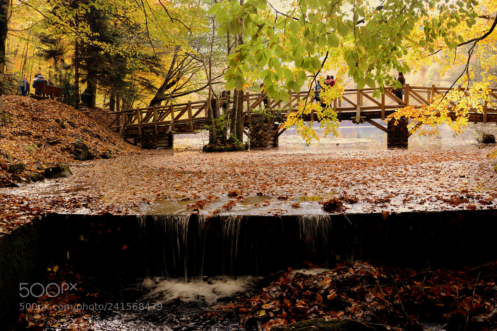 Nikon D3200 sample photo. Yedigöller photography